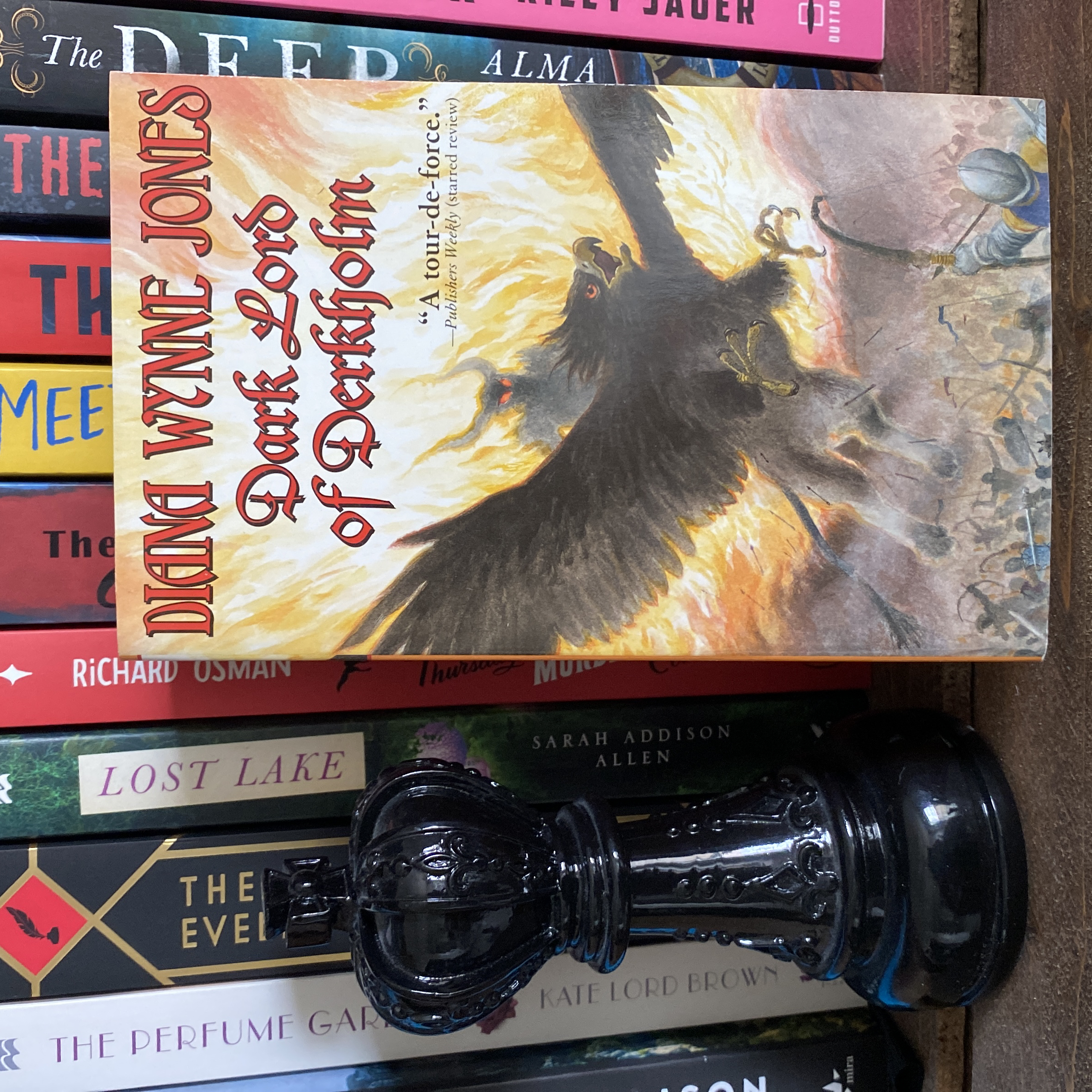 Dark Lord of Derkholm