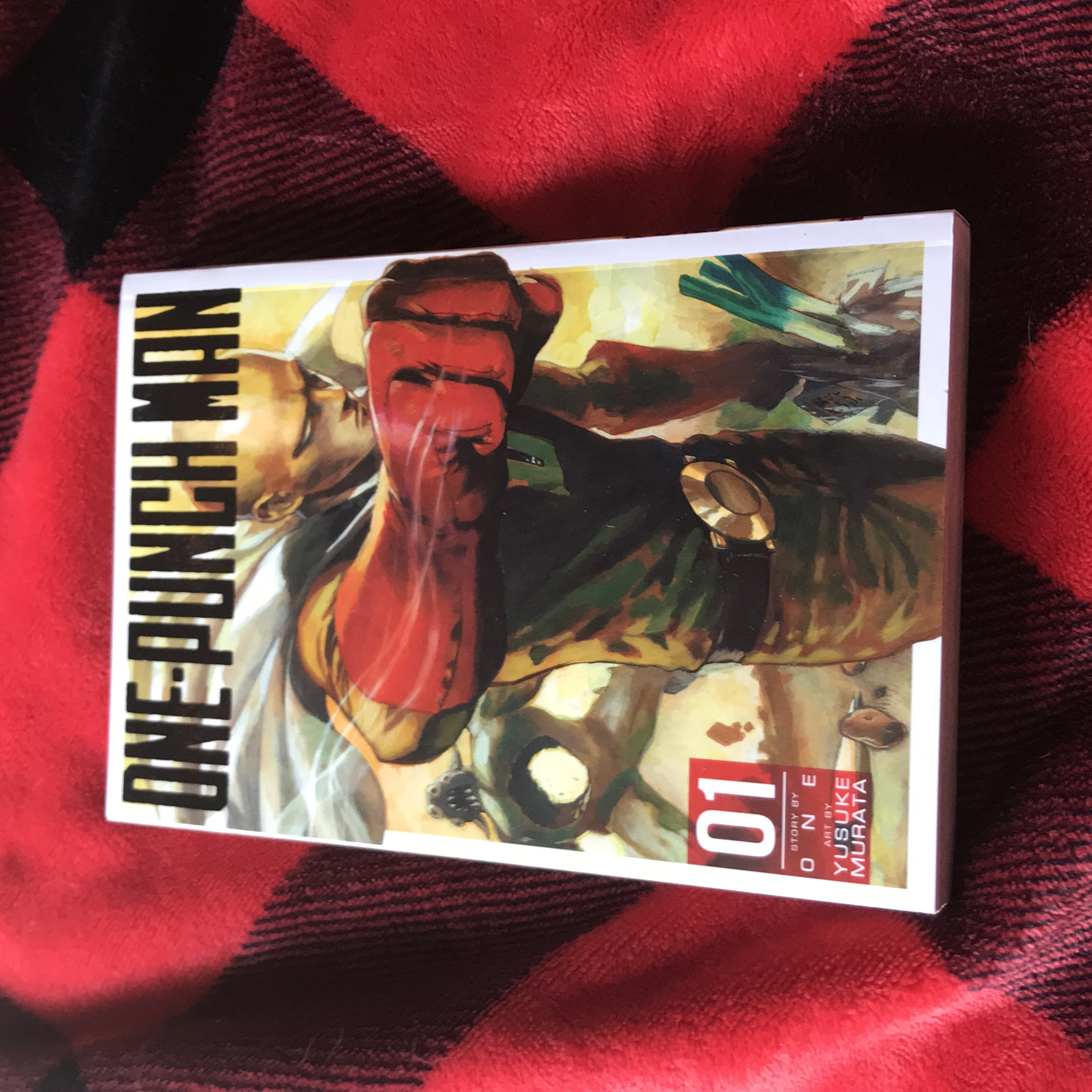 One-Punch Man, Vol. 1