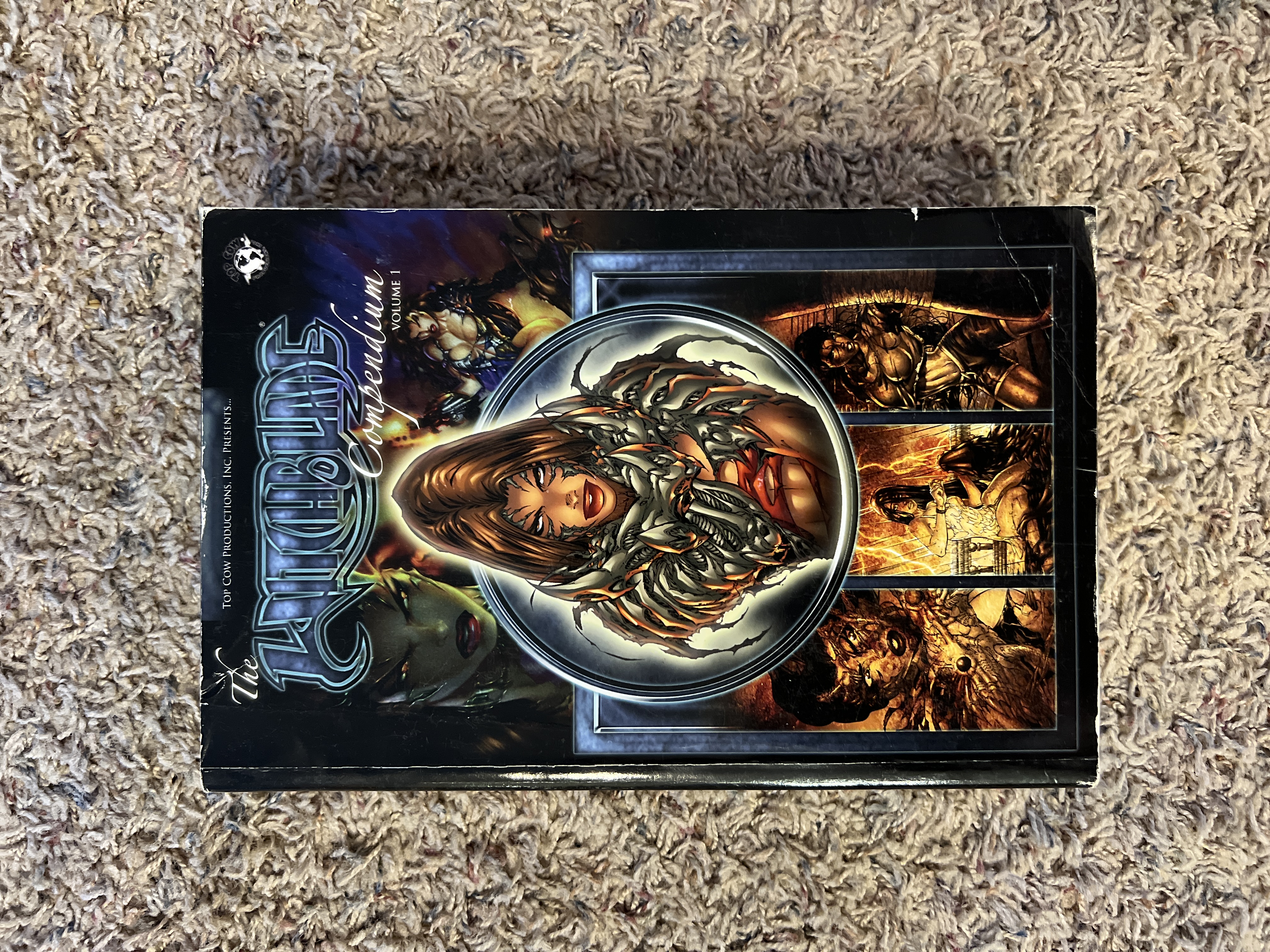 Witchblade Compendium