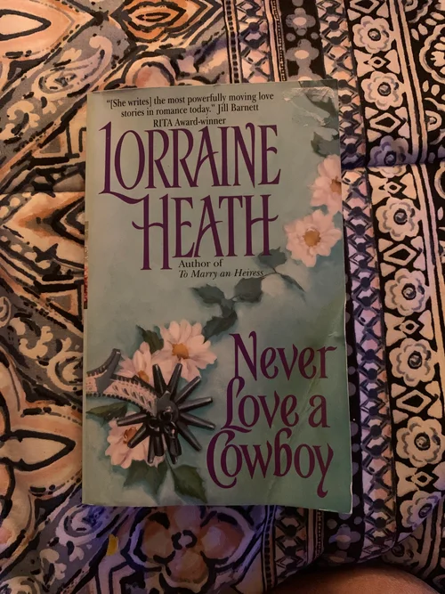 Never Love a Cowboy