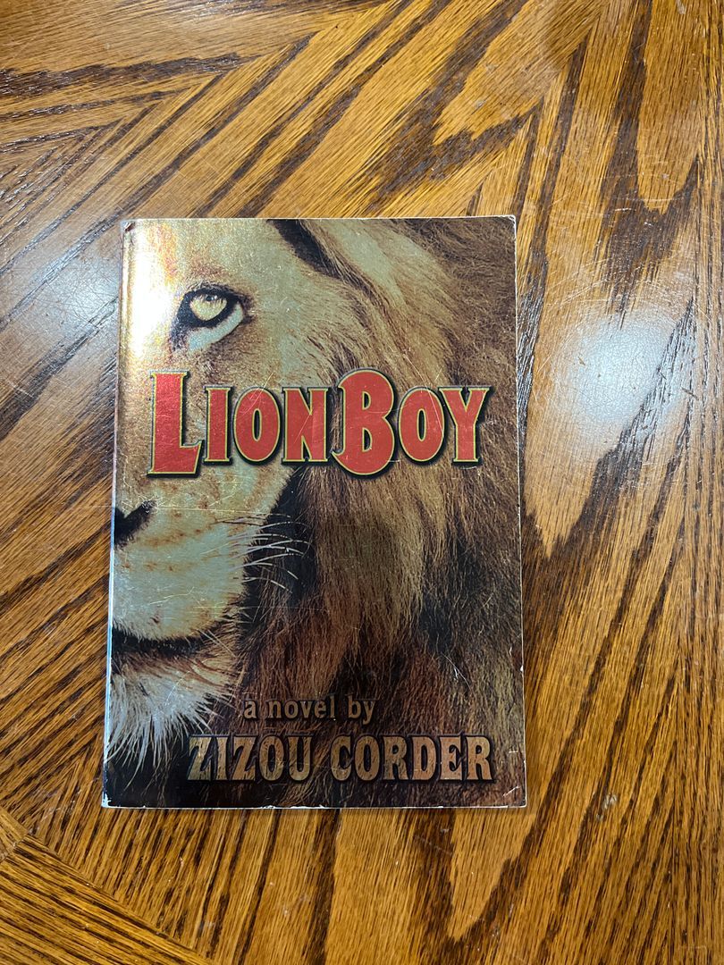 Lionboy