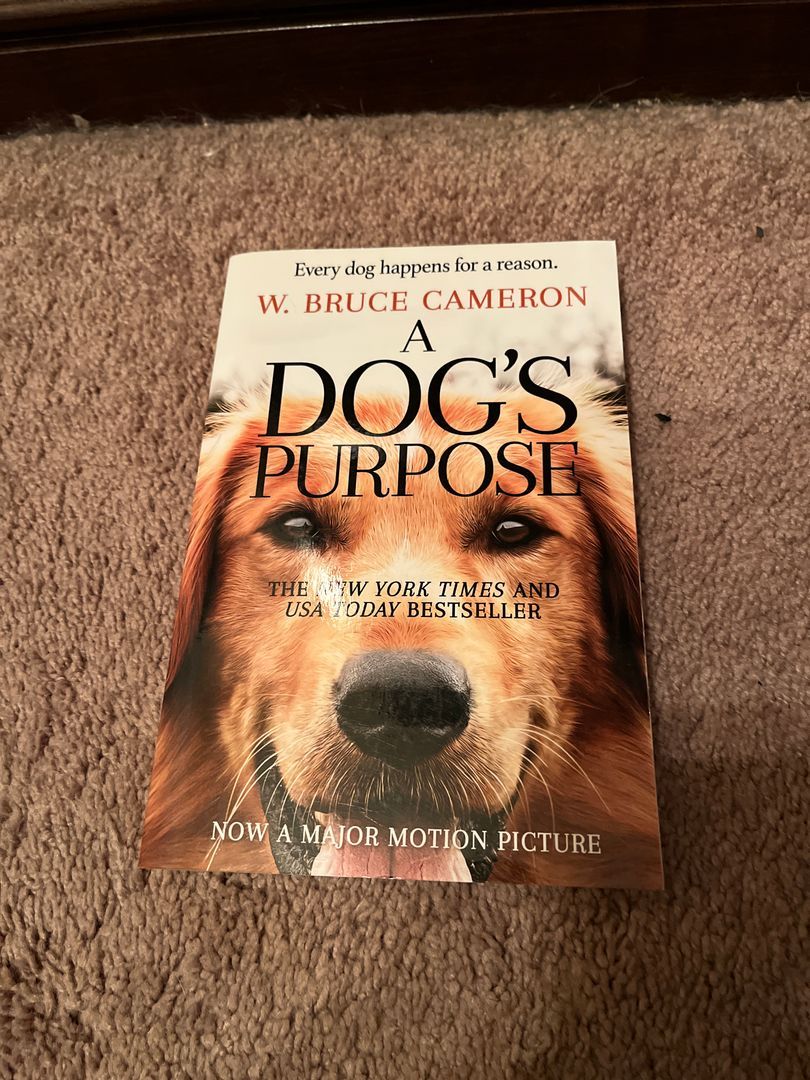 A Dog’s Purpose
