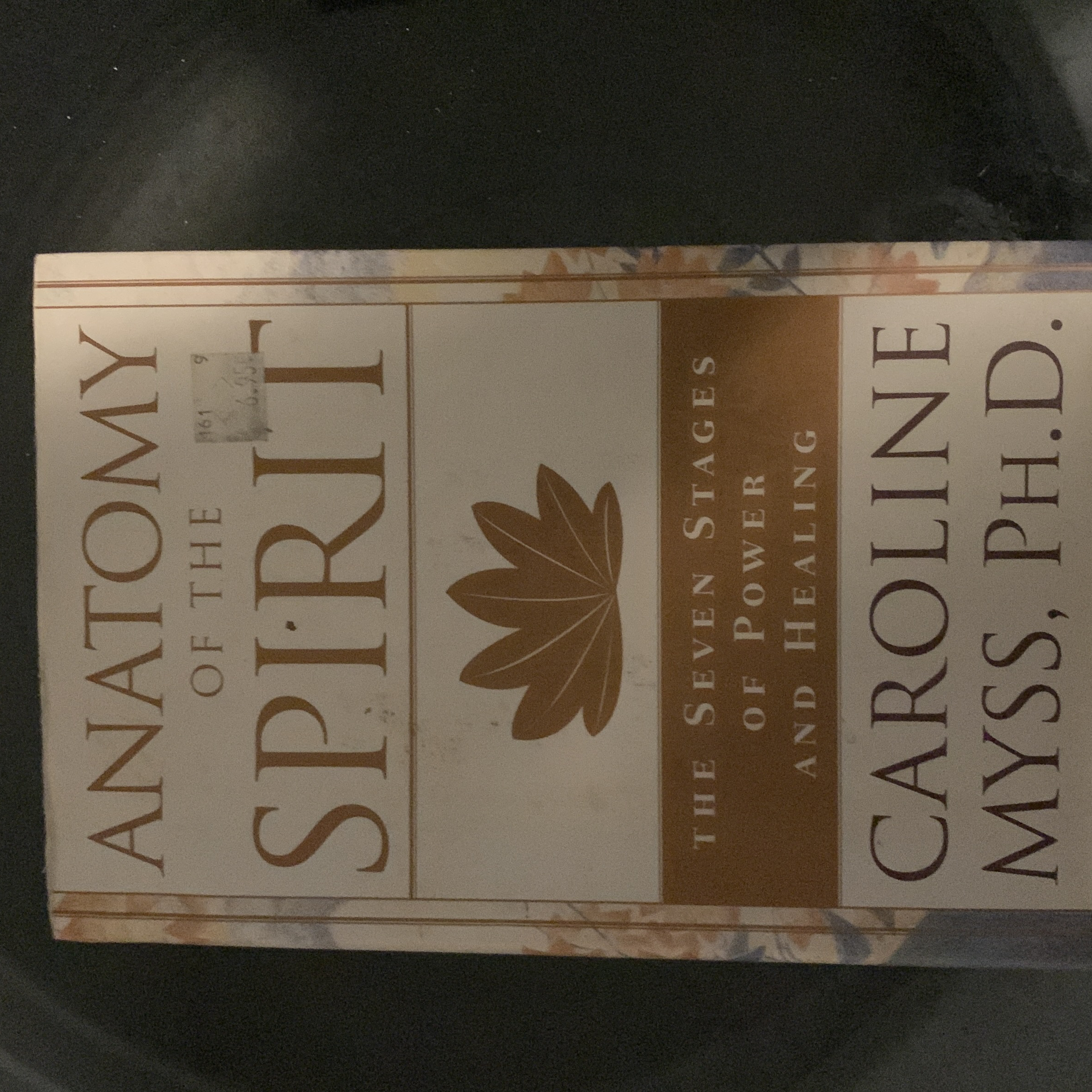 Anatomy of the Spirit