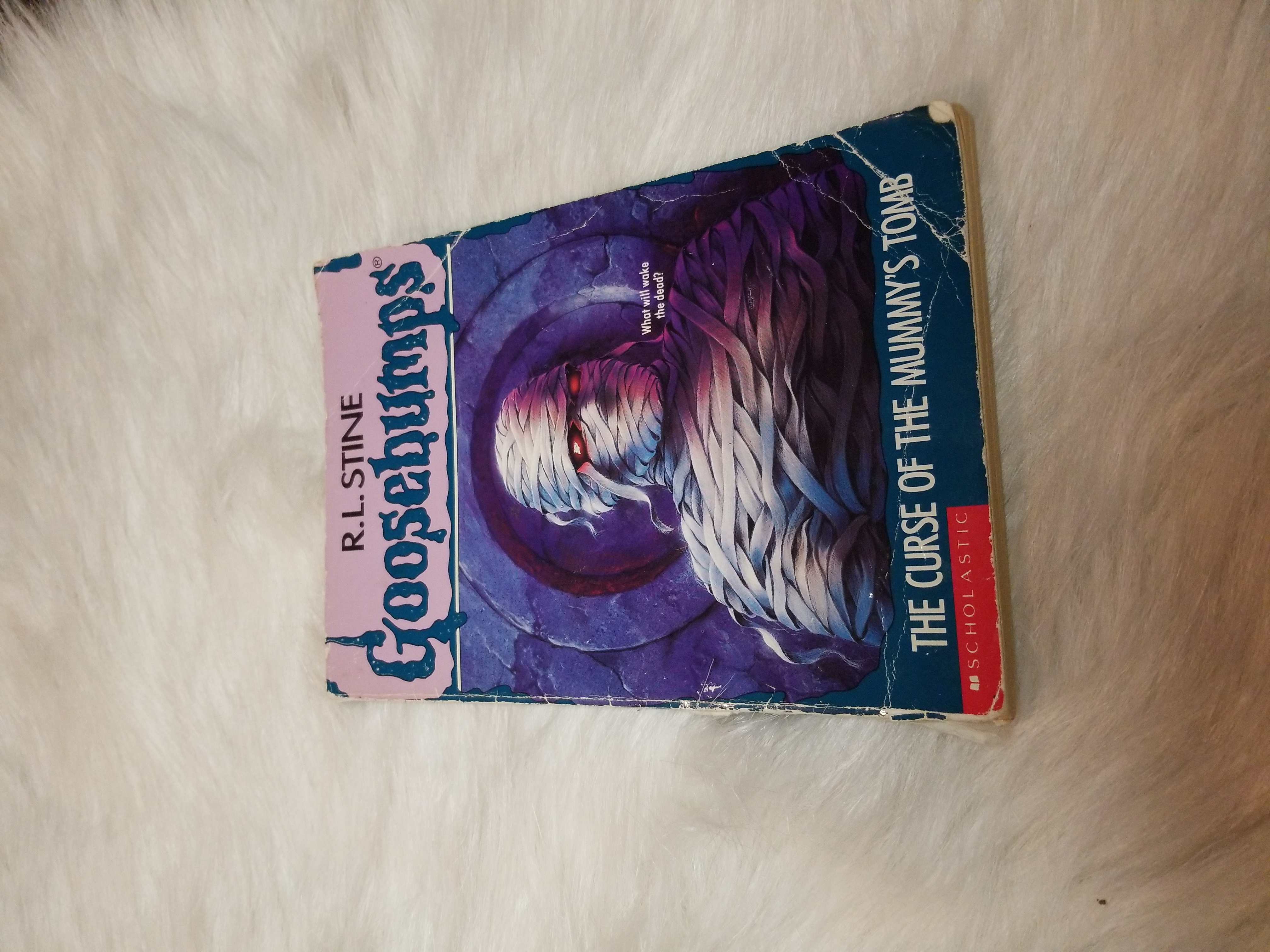 Goosebumps The Curse Of The Mummys Tomb