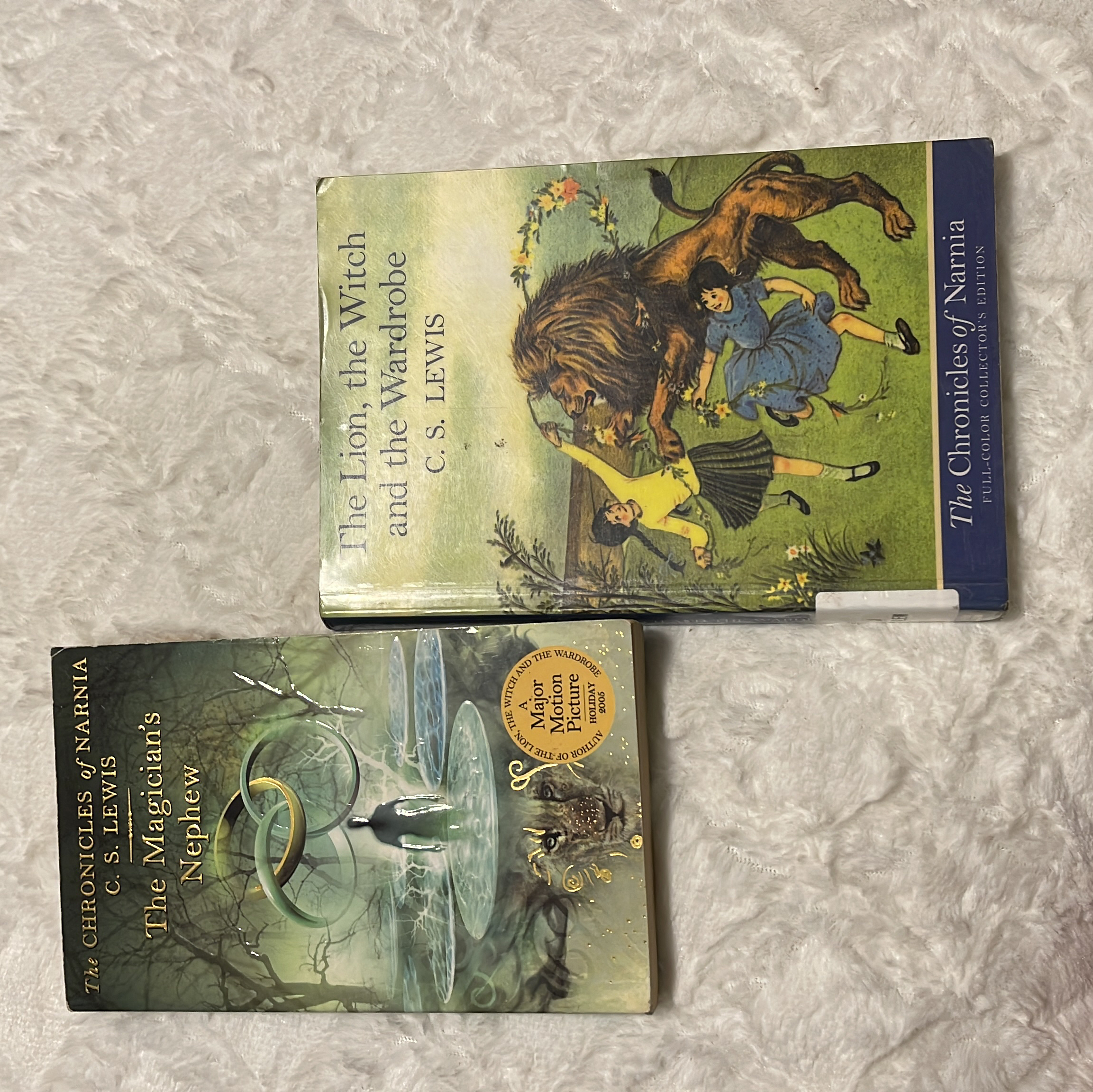 The Lion, the Witch and the Wardrobe