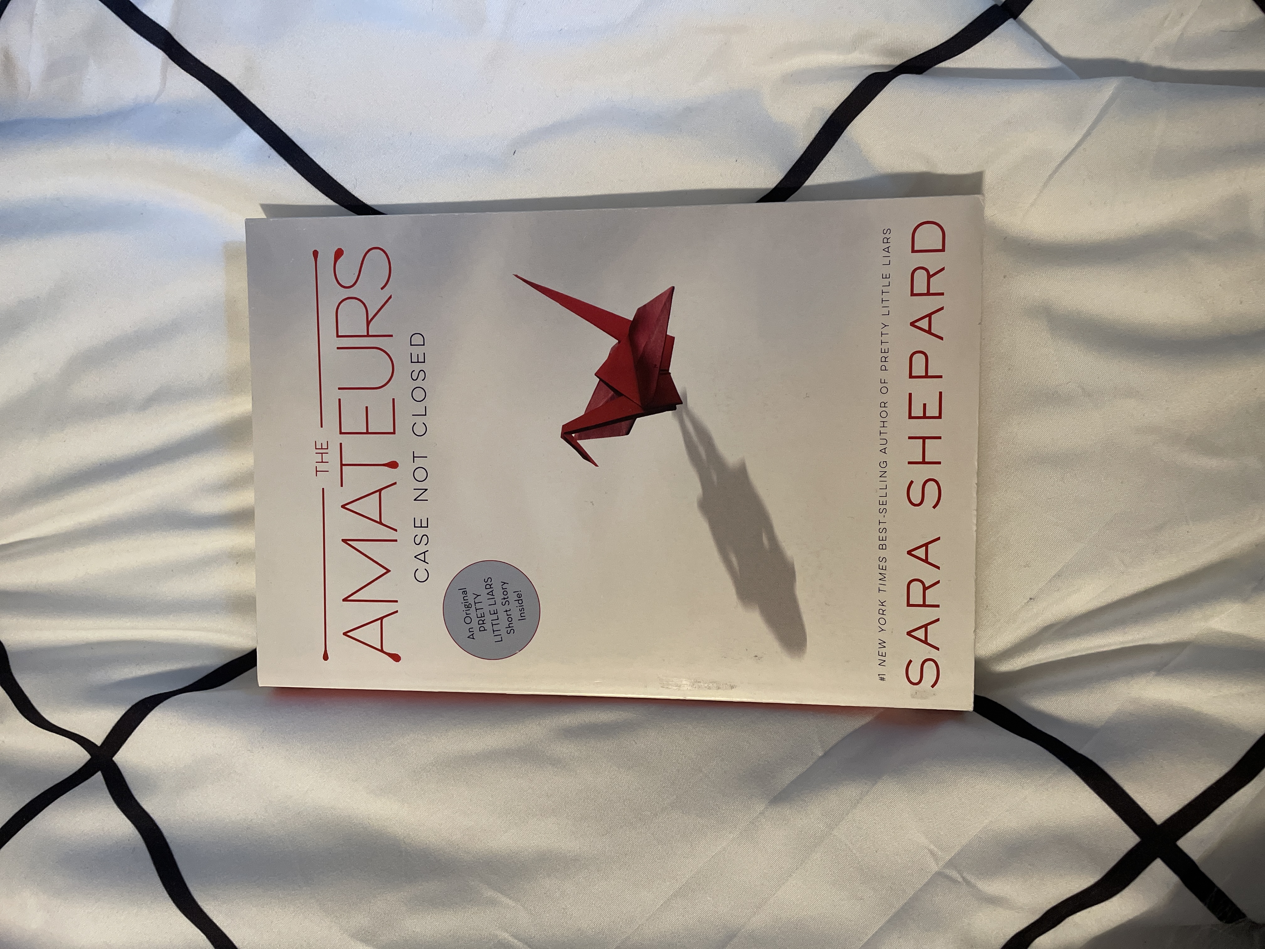 The Amateurs