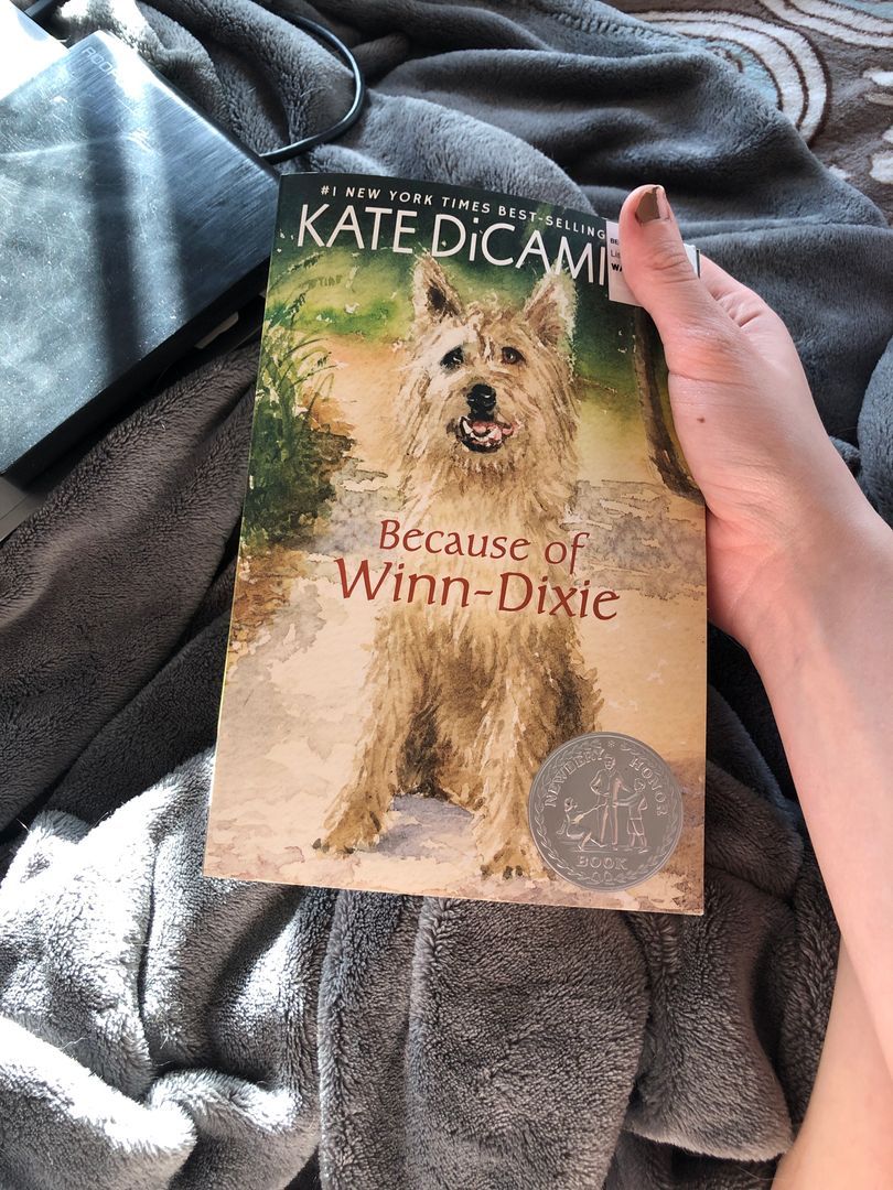 Because of Winn-Dixie