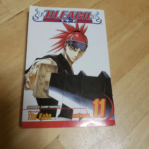 Bleach, Vol. 11