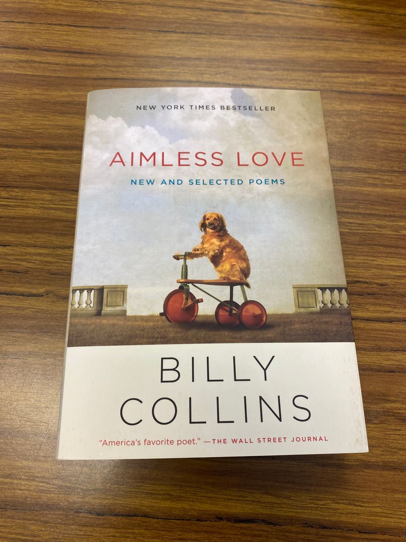 Aimless Love