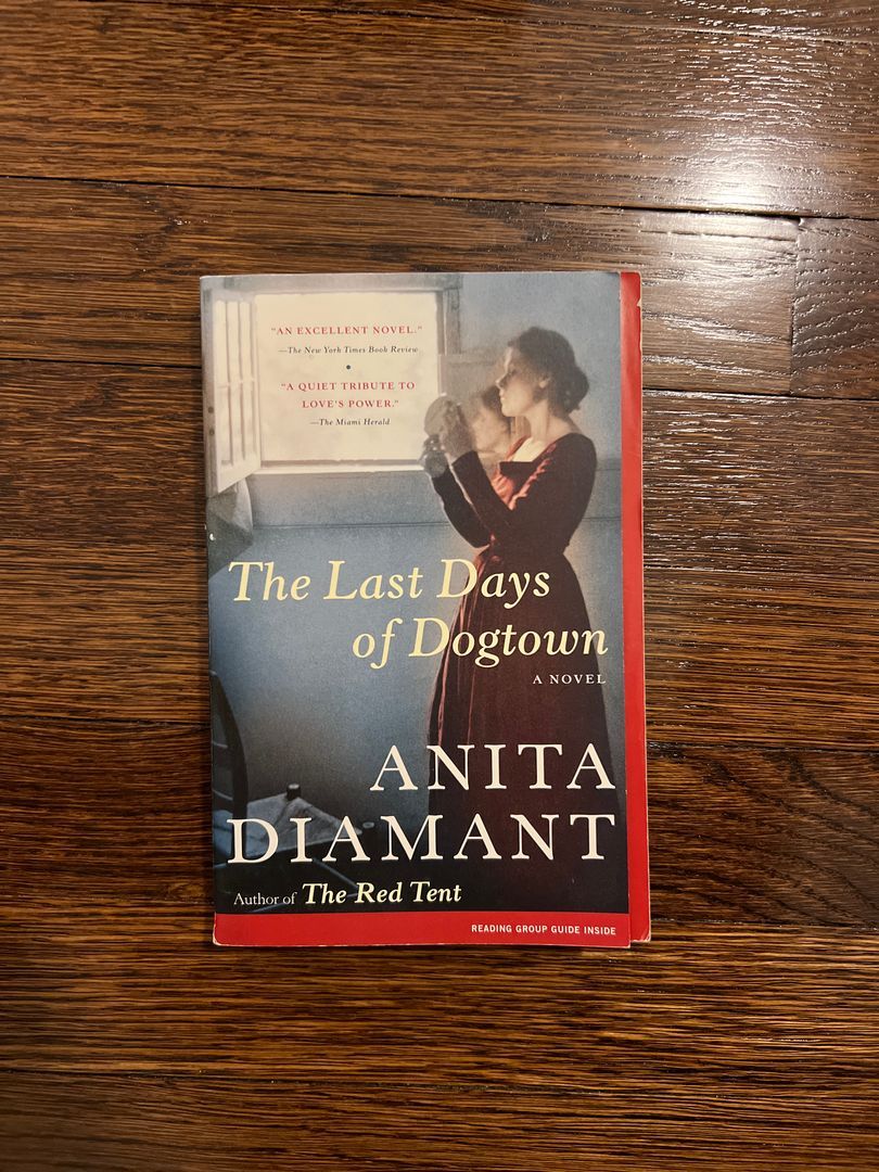 The Last Days of Dogtown