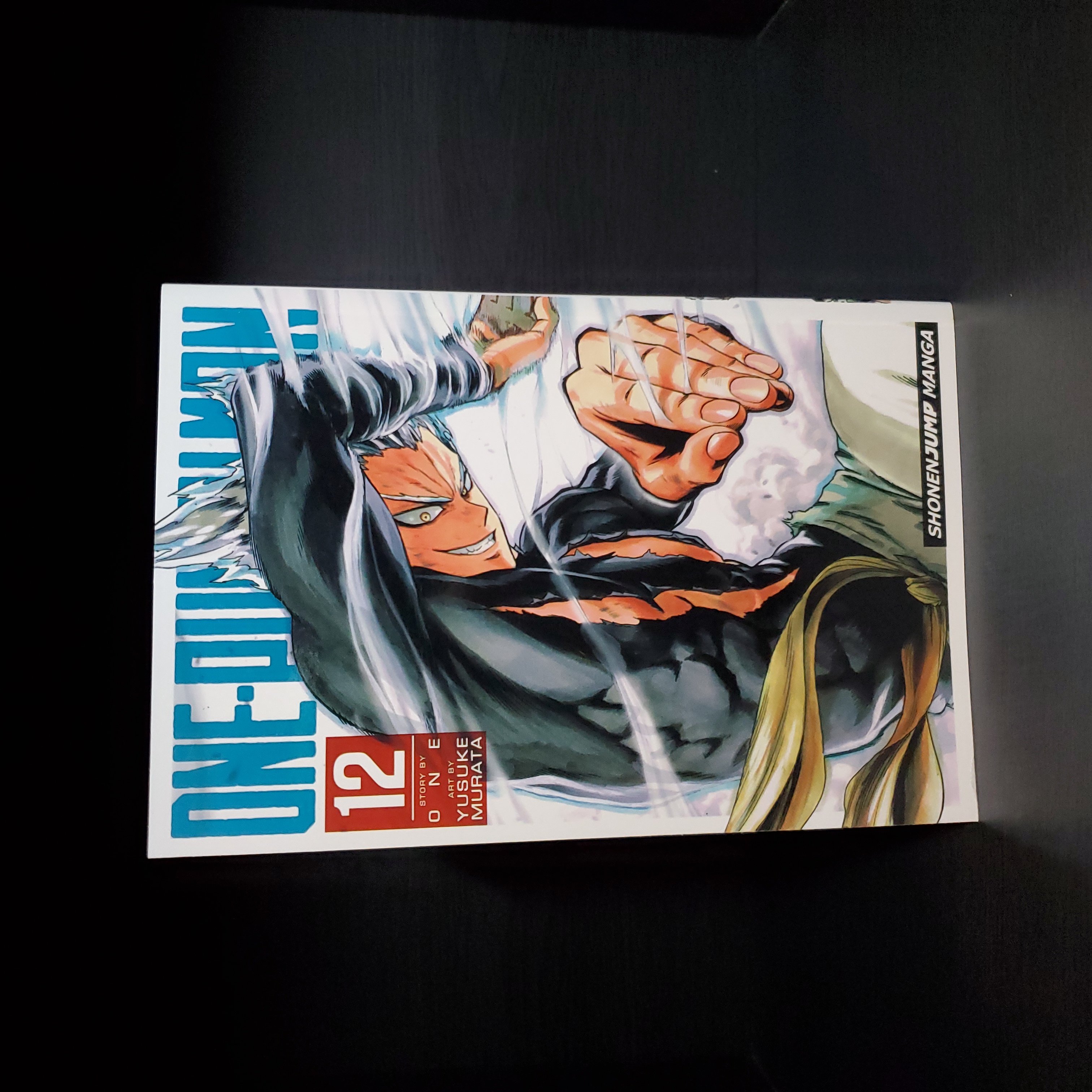 One-Punch Man, Vol. 12