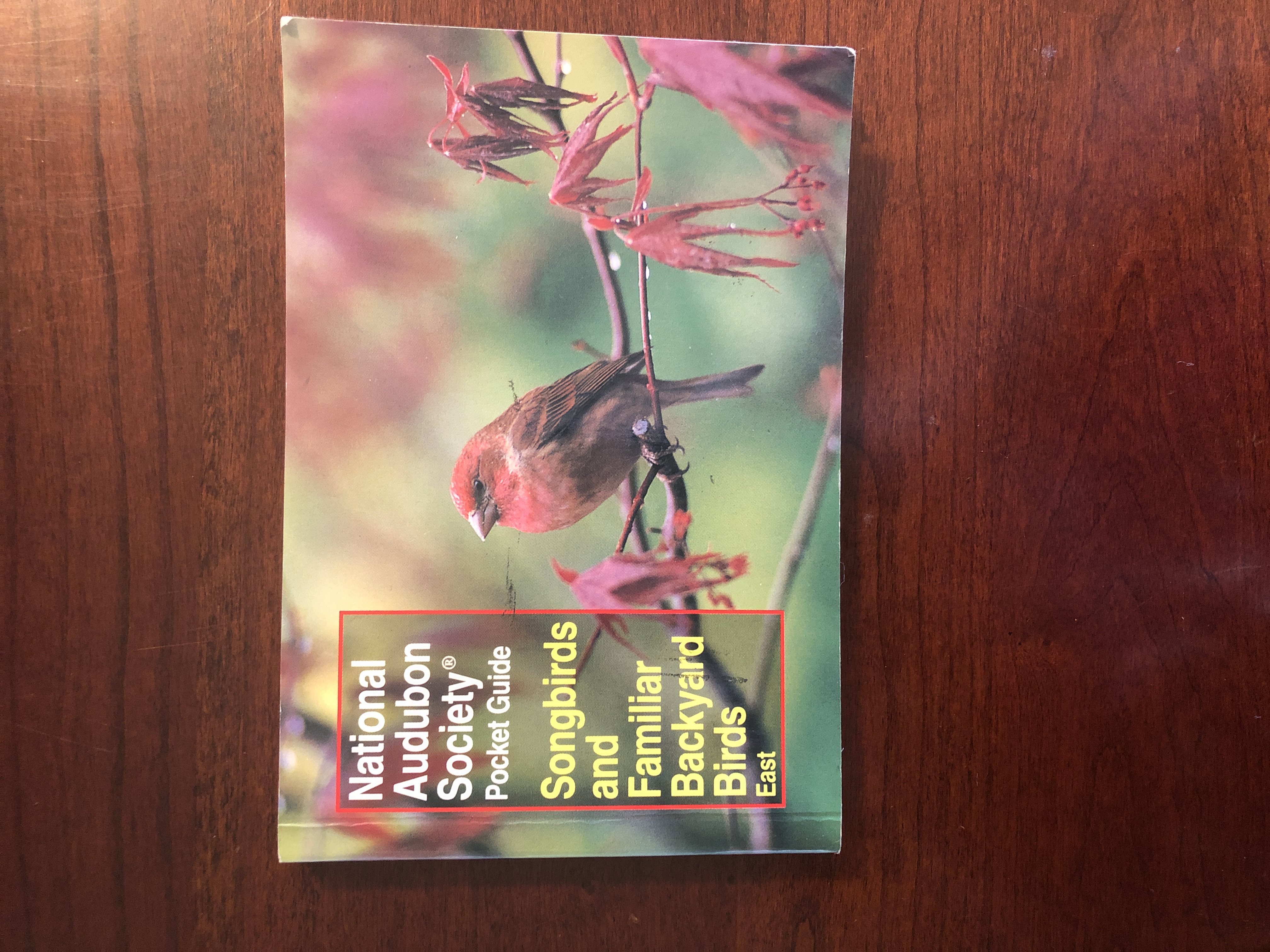 National Audubon Society Pocket Guide to Songbirds and Familiar Backyard Birds: Eastern Region