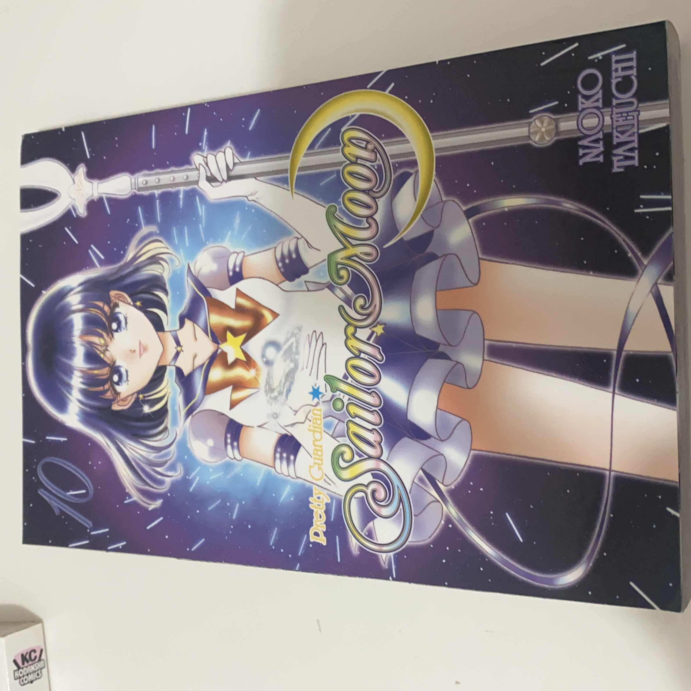 Sailor Moon 10
