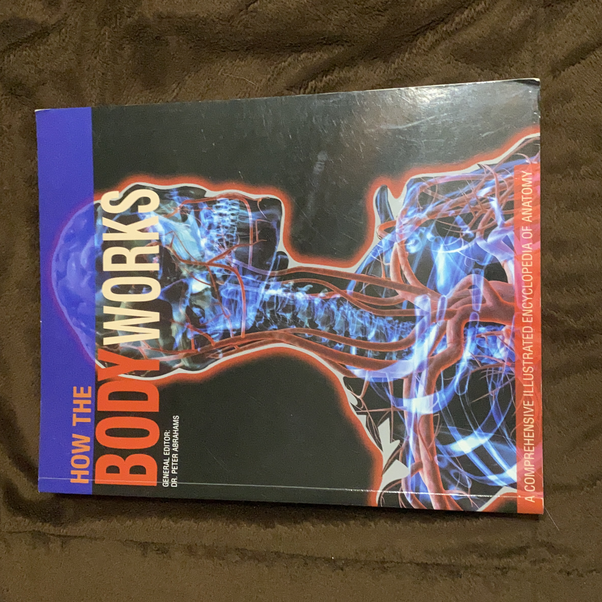 How the Body Works