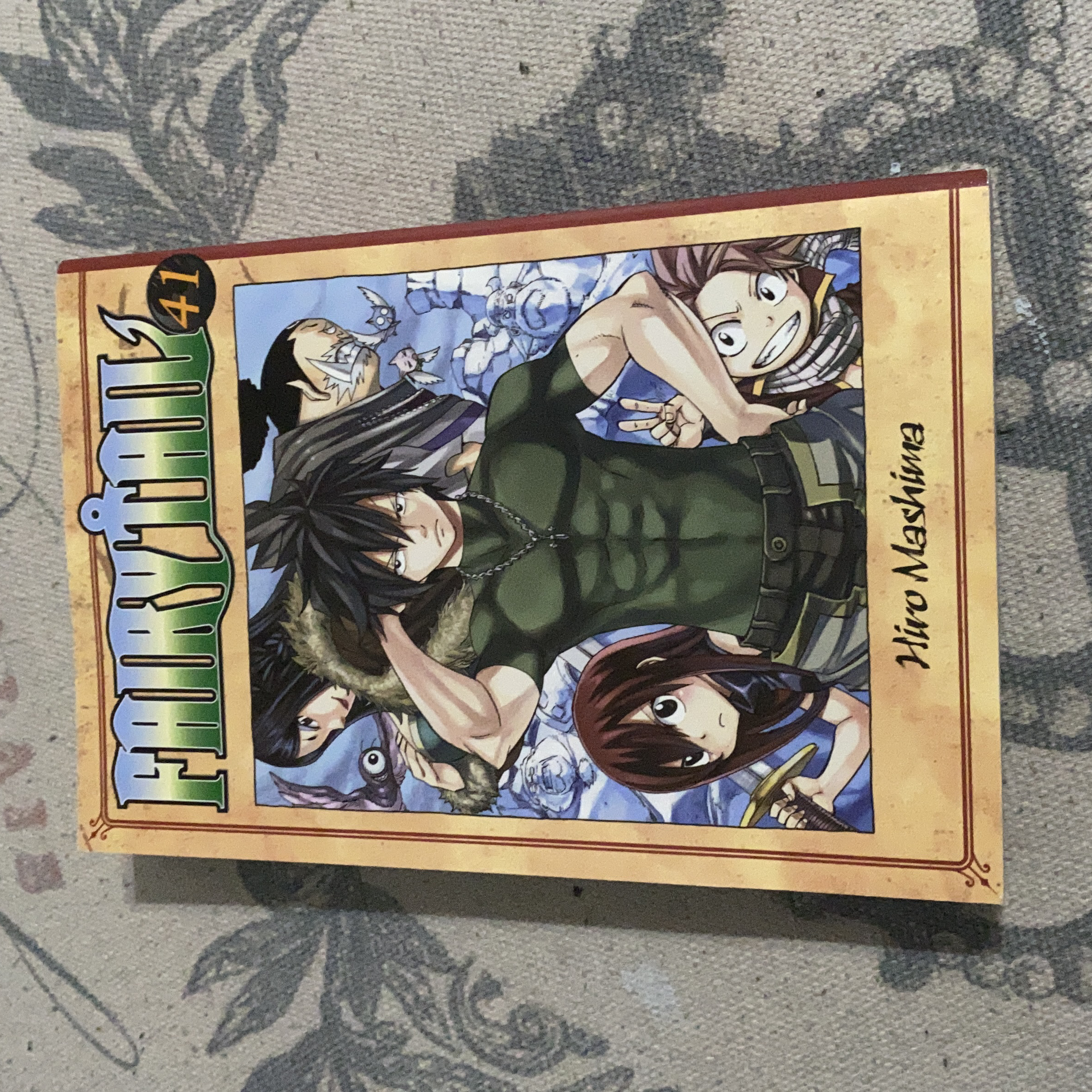Fairy Tail 41