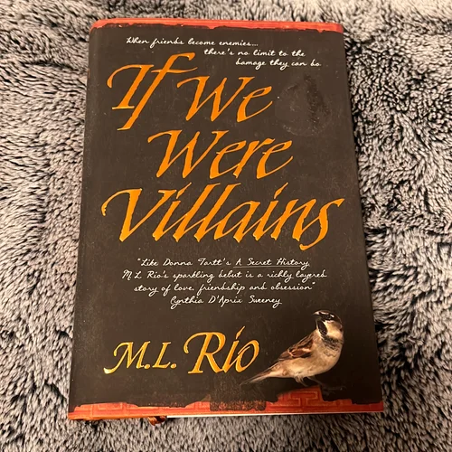 If We Were Villains