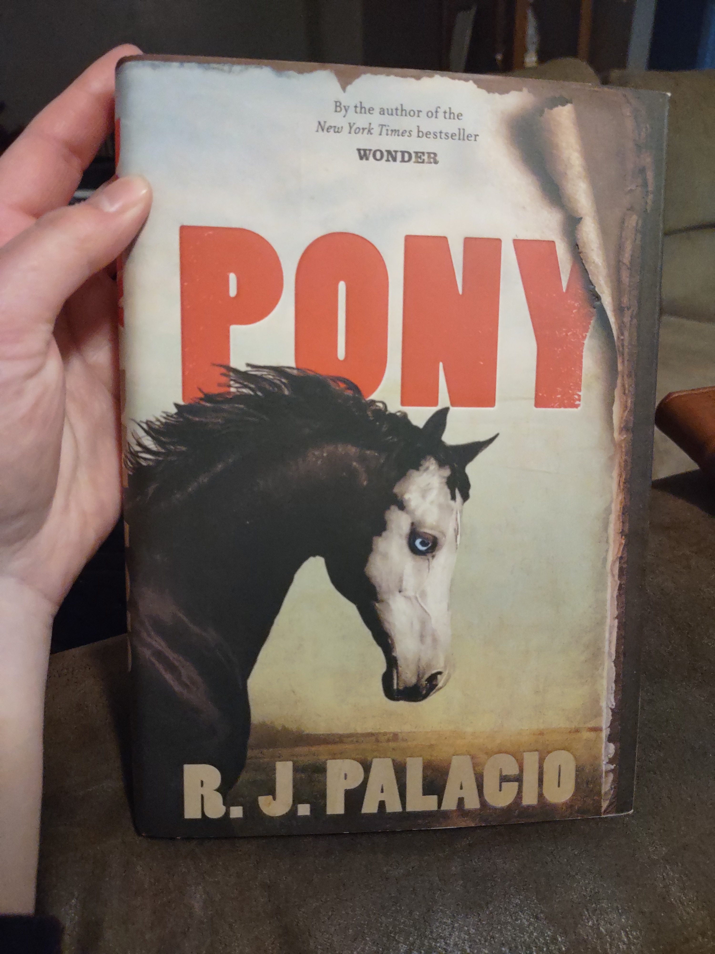 Pony