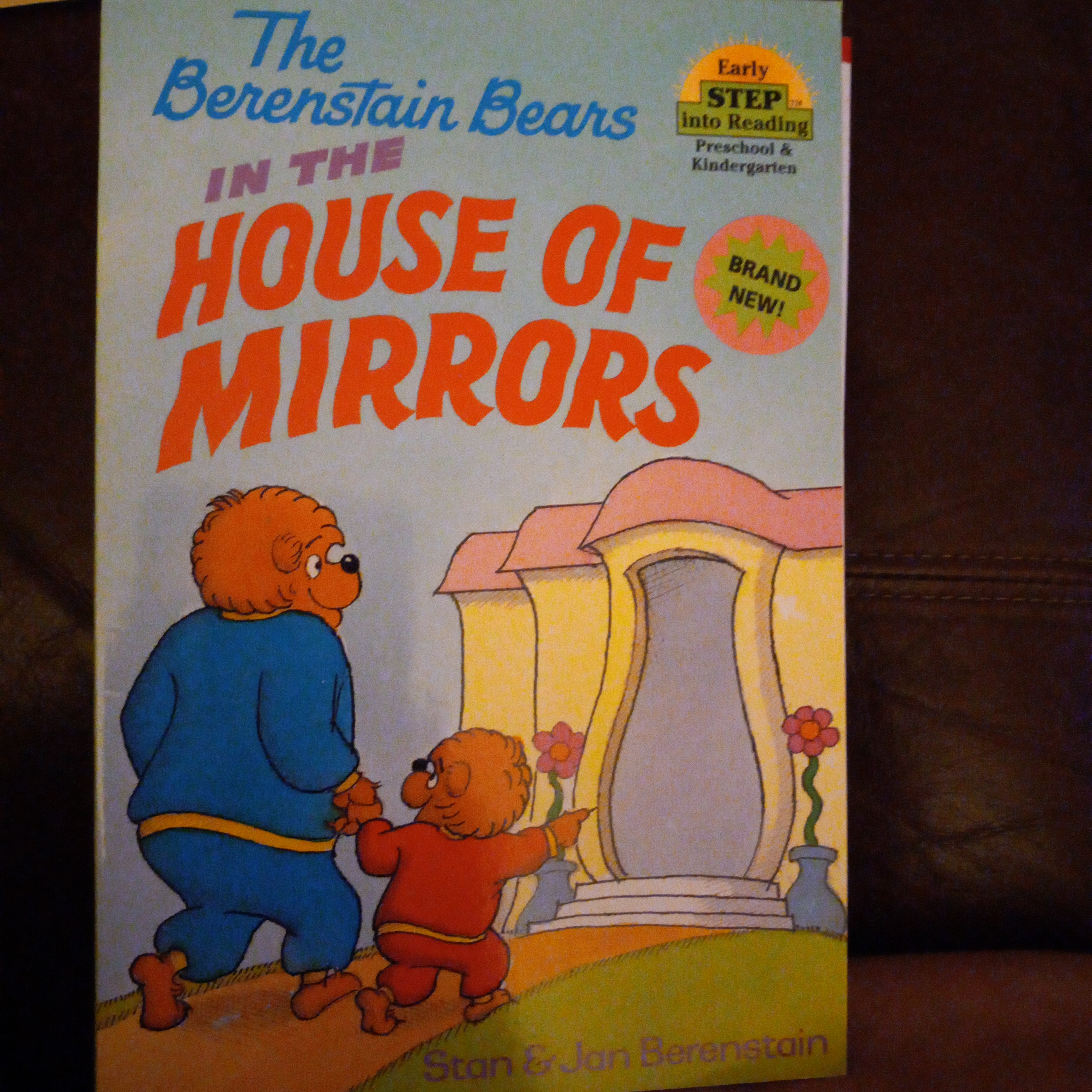 The Berenstain Bears in the House of Mirrors