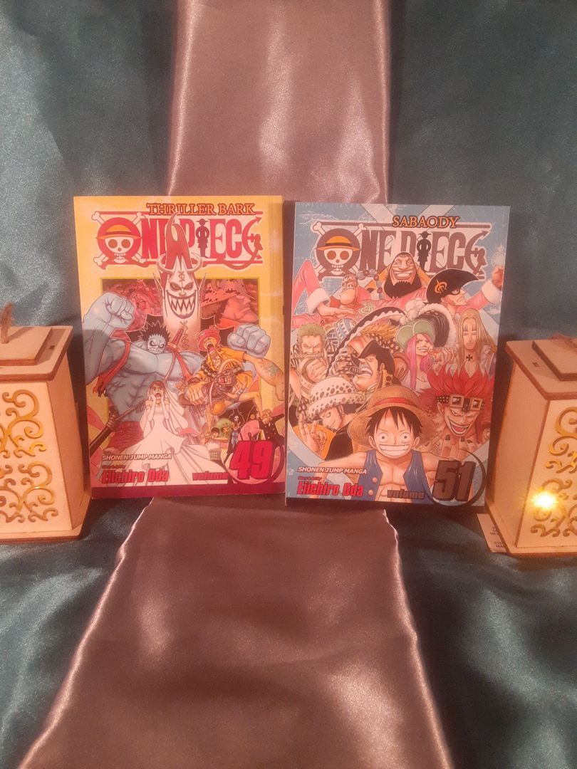 One Piece, Vol. 49