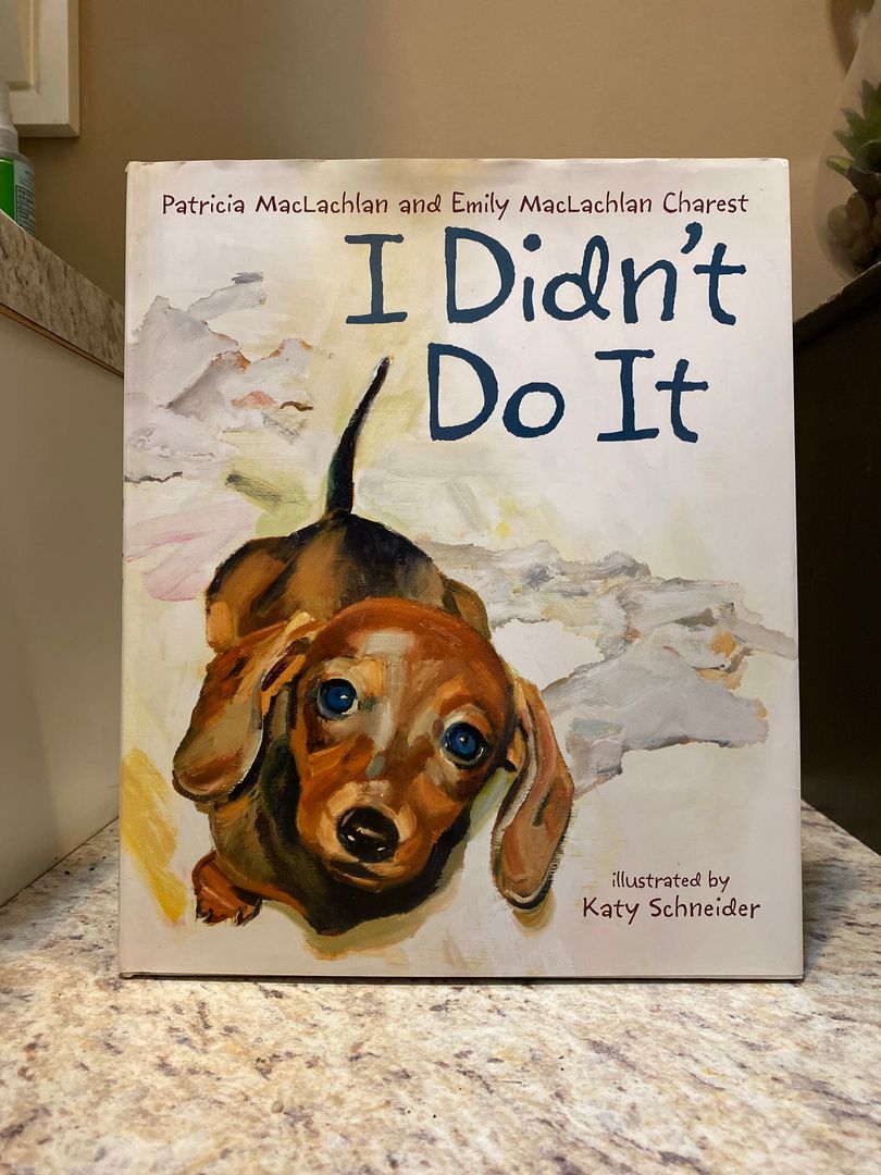 I Didn't Do It