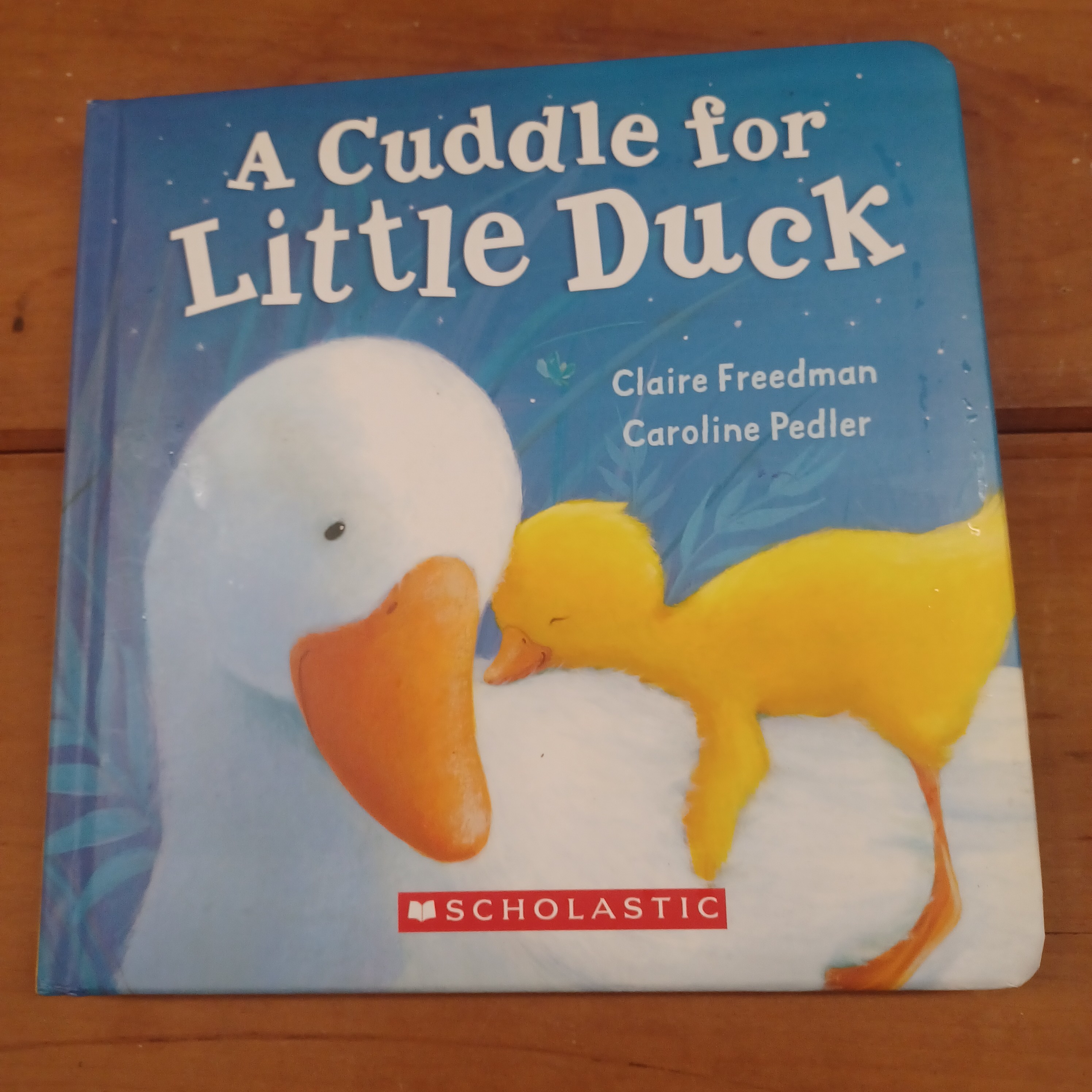 A Cuddle for Little Duck