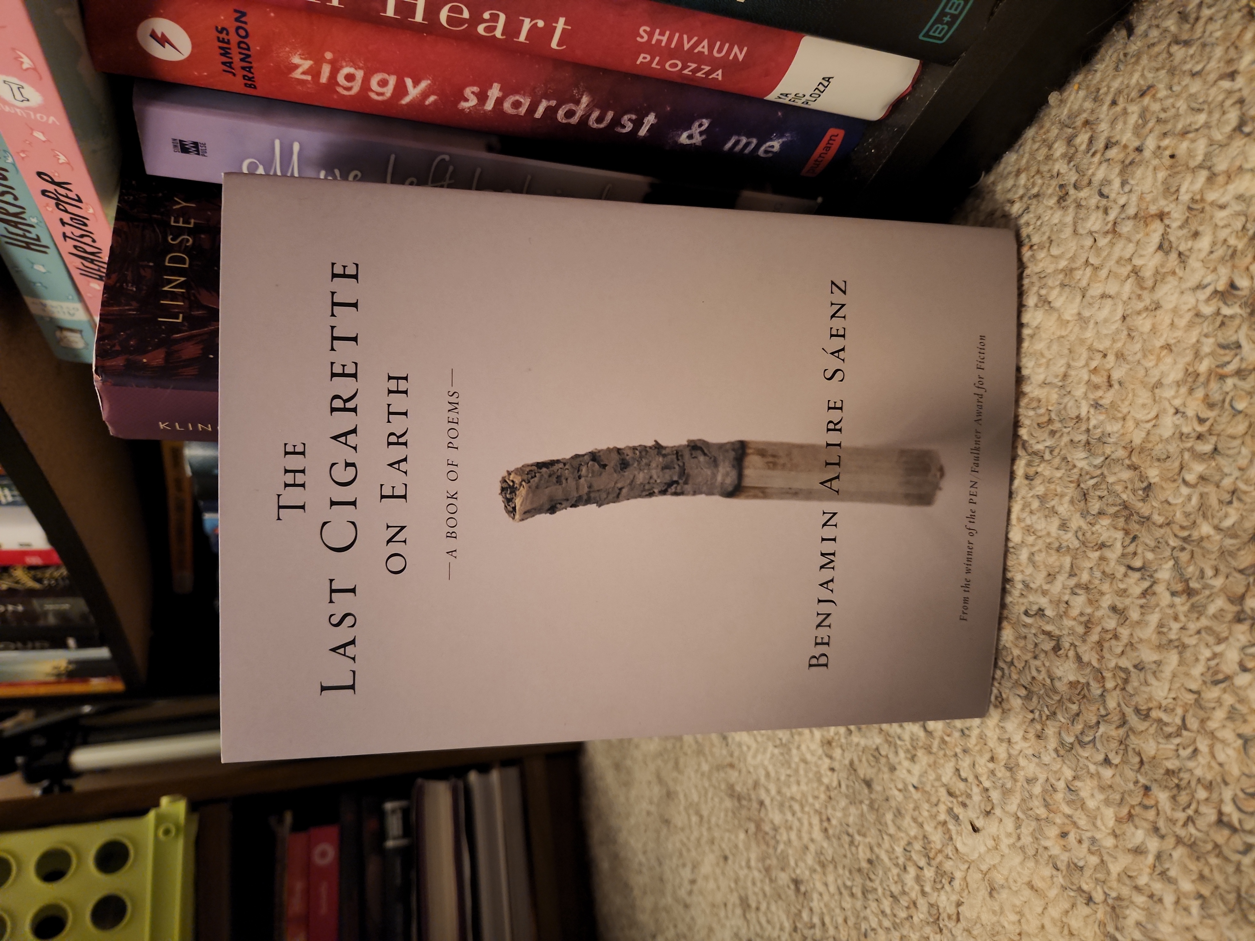 The Last Cigarette on Earth