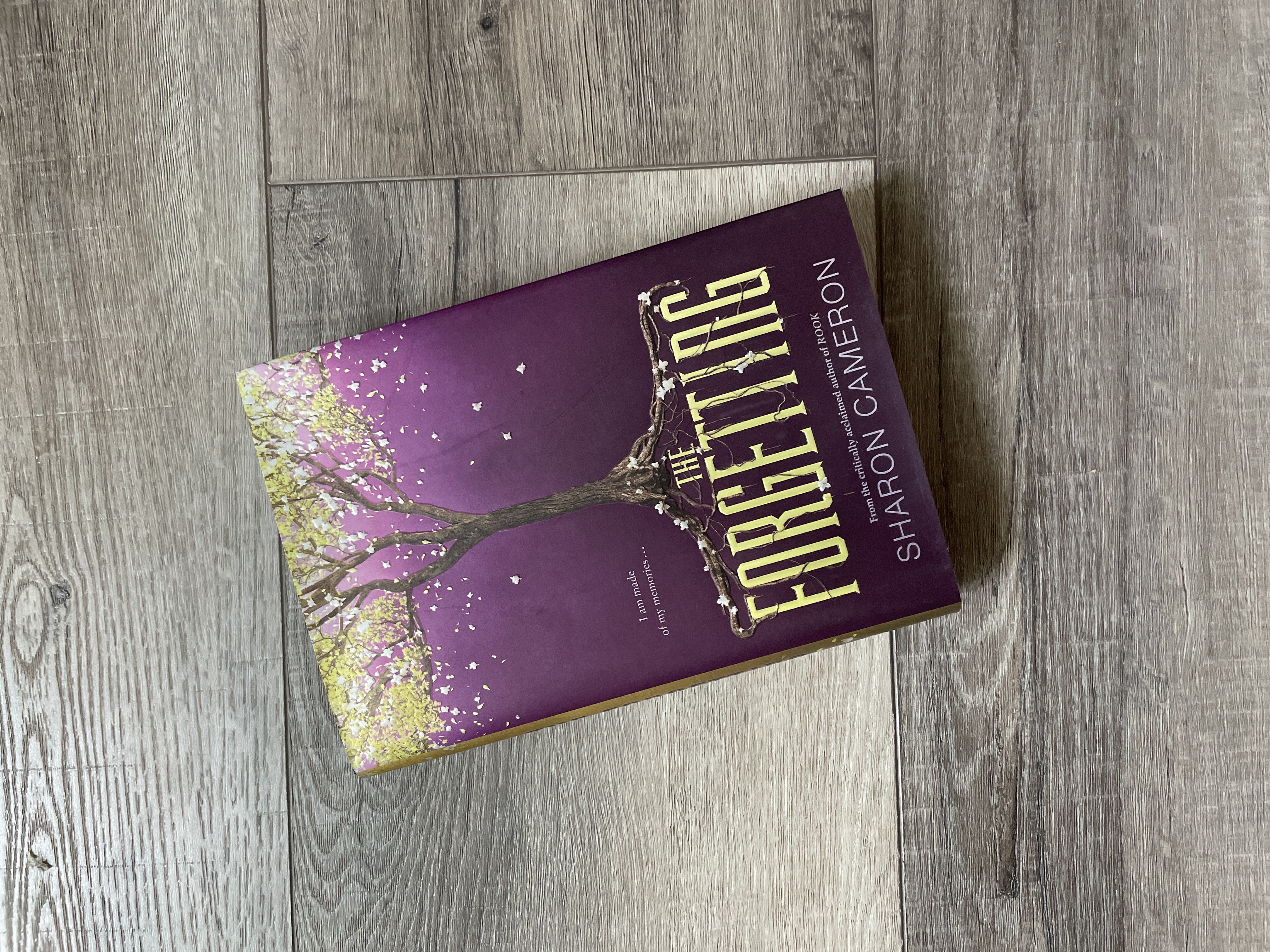 The Forgetting