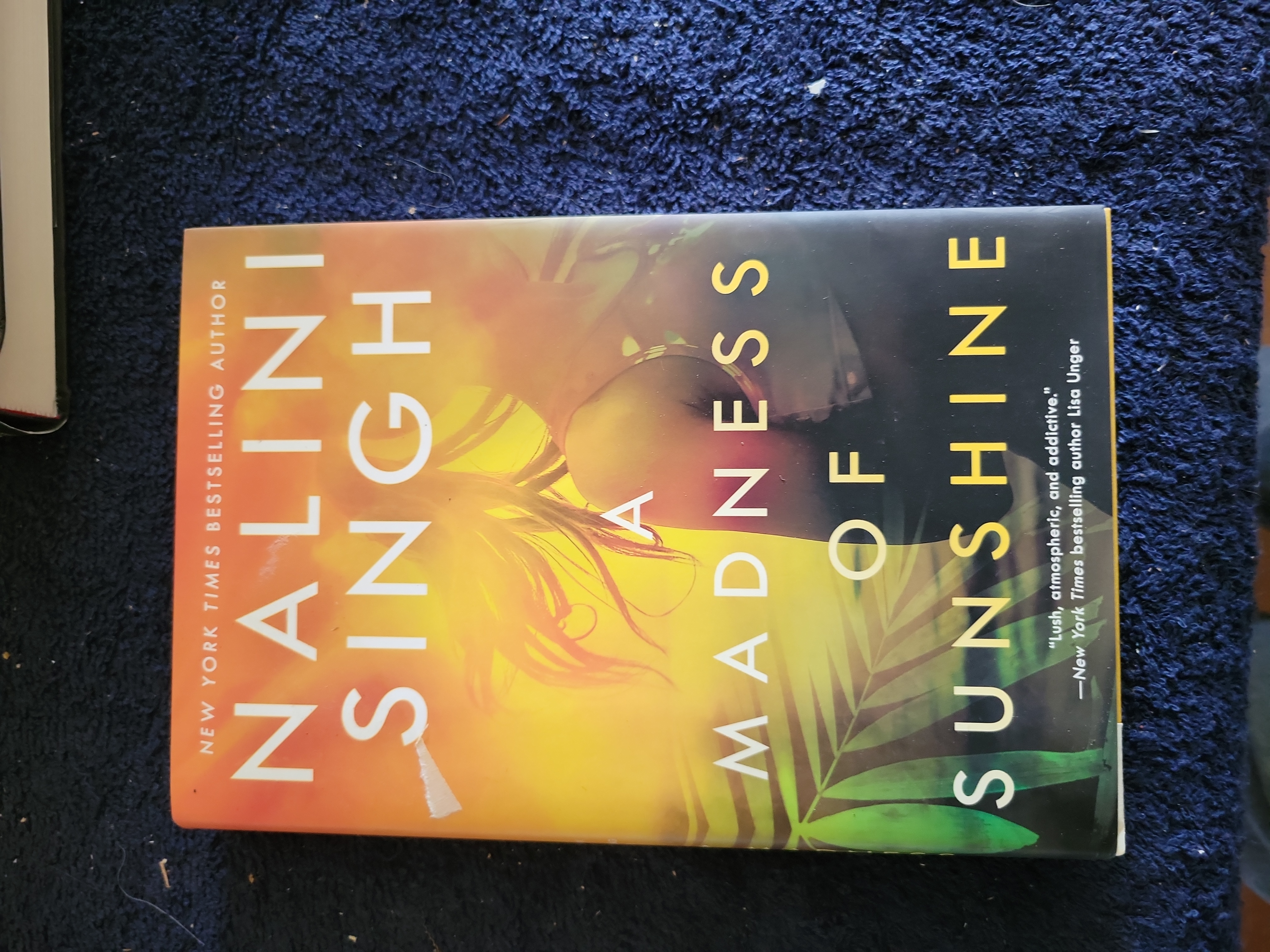 A Madness of Sunshine