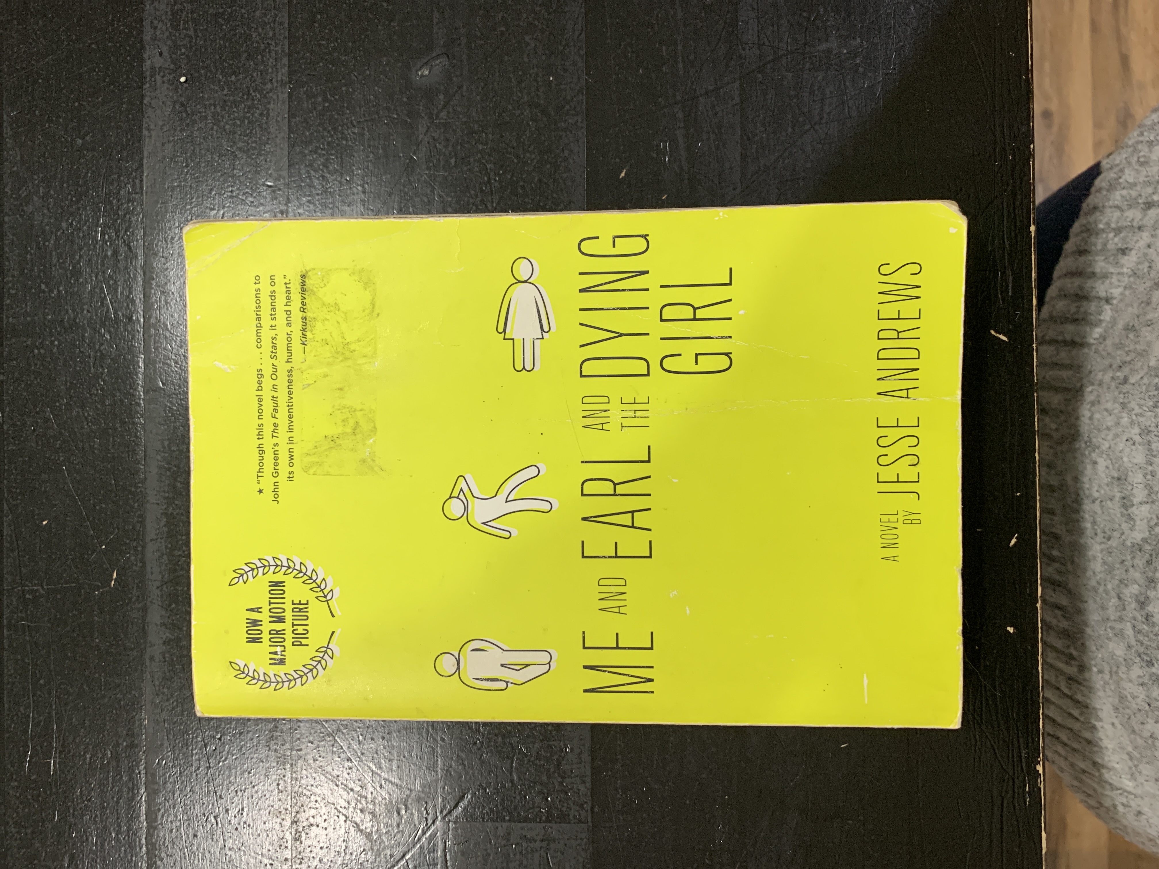 Me and Earl and the Dying Girl