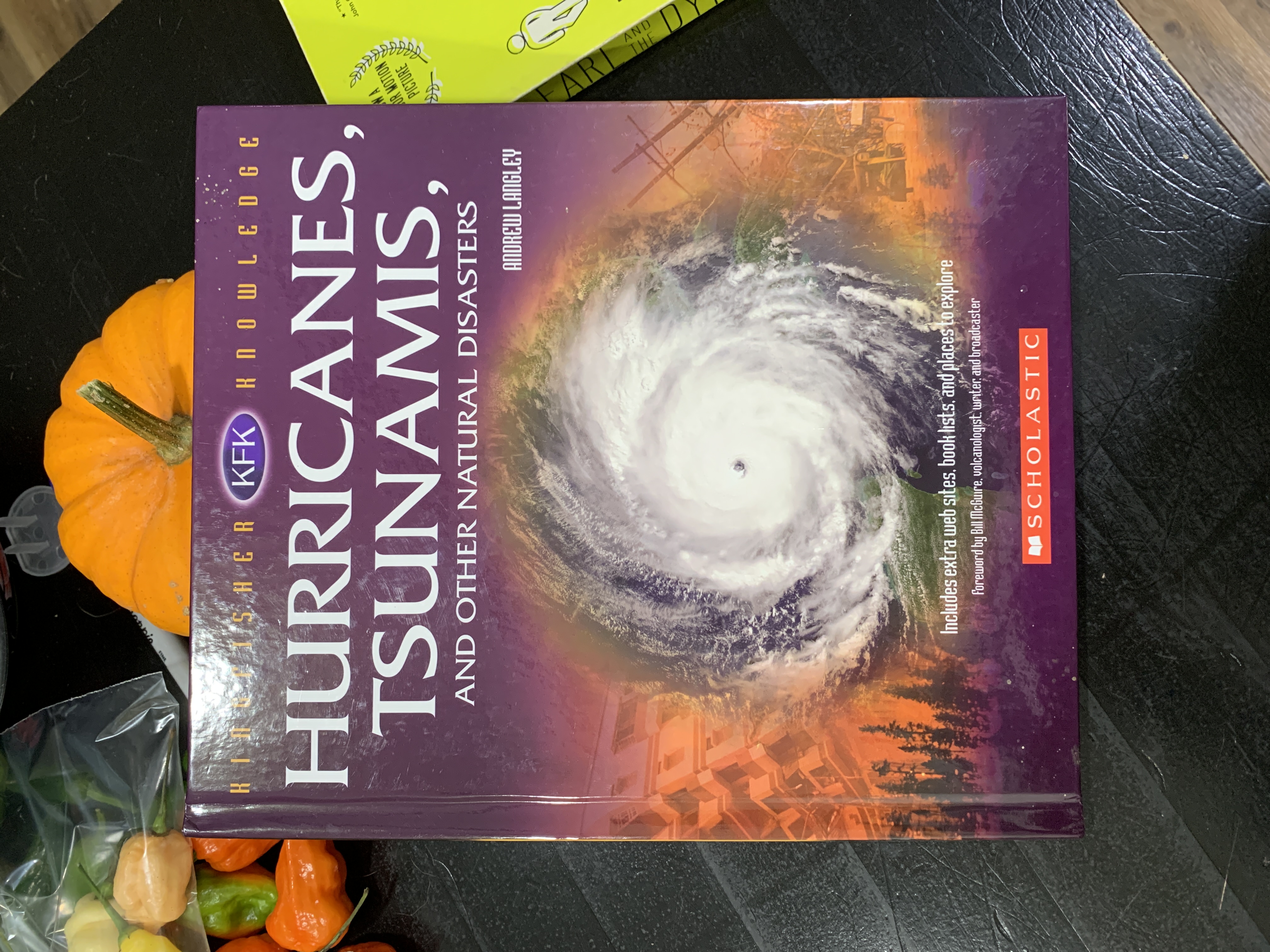 Hurricanes, Tsunamis, And Other Natural Disasters