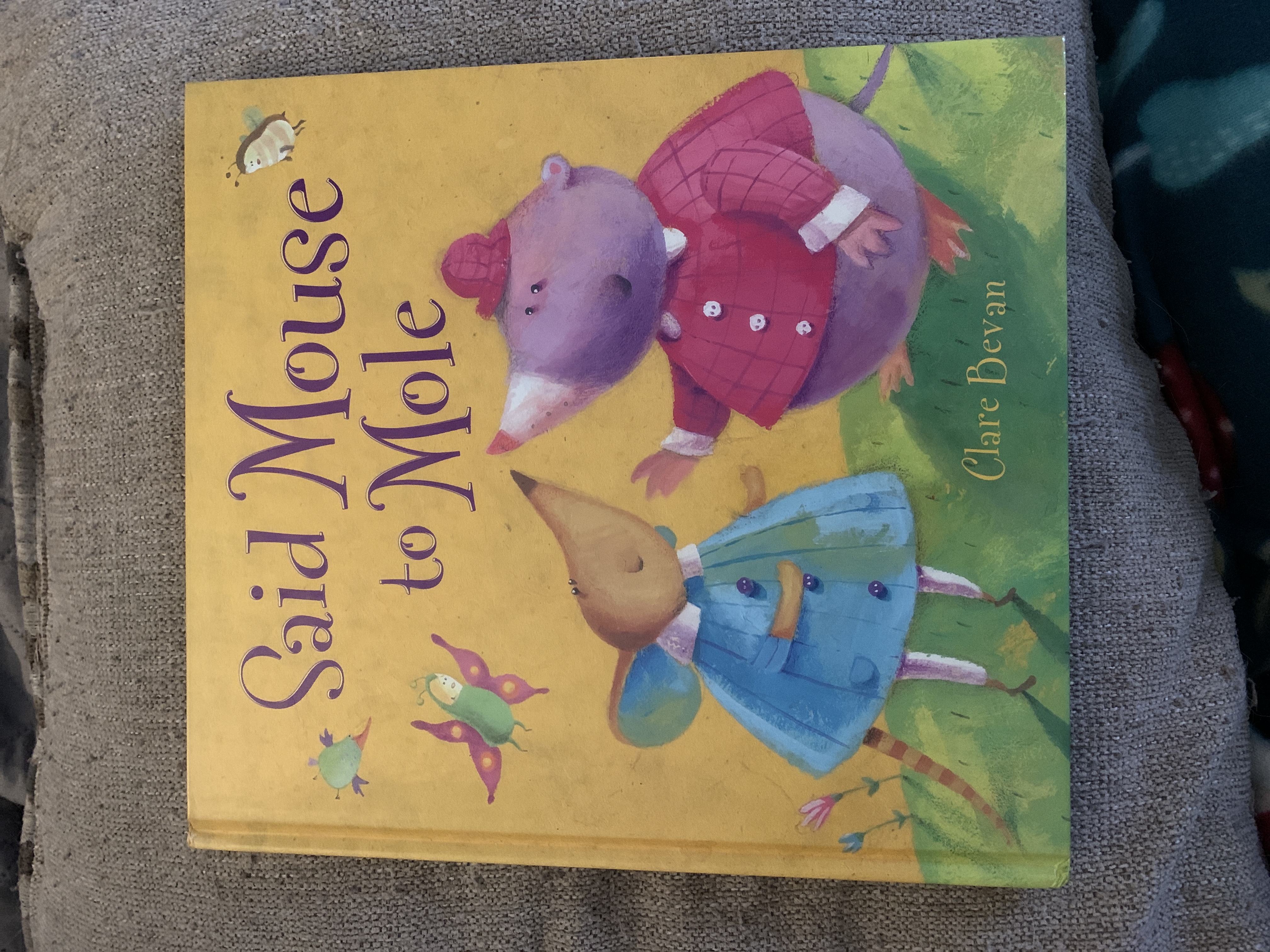 Said Mouse to Mole Picture Book