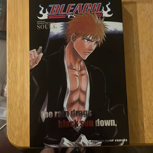 Bleach SOULs. Official Character Book