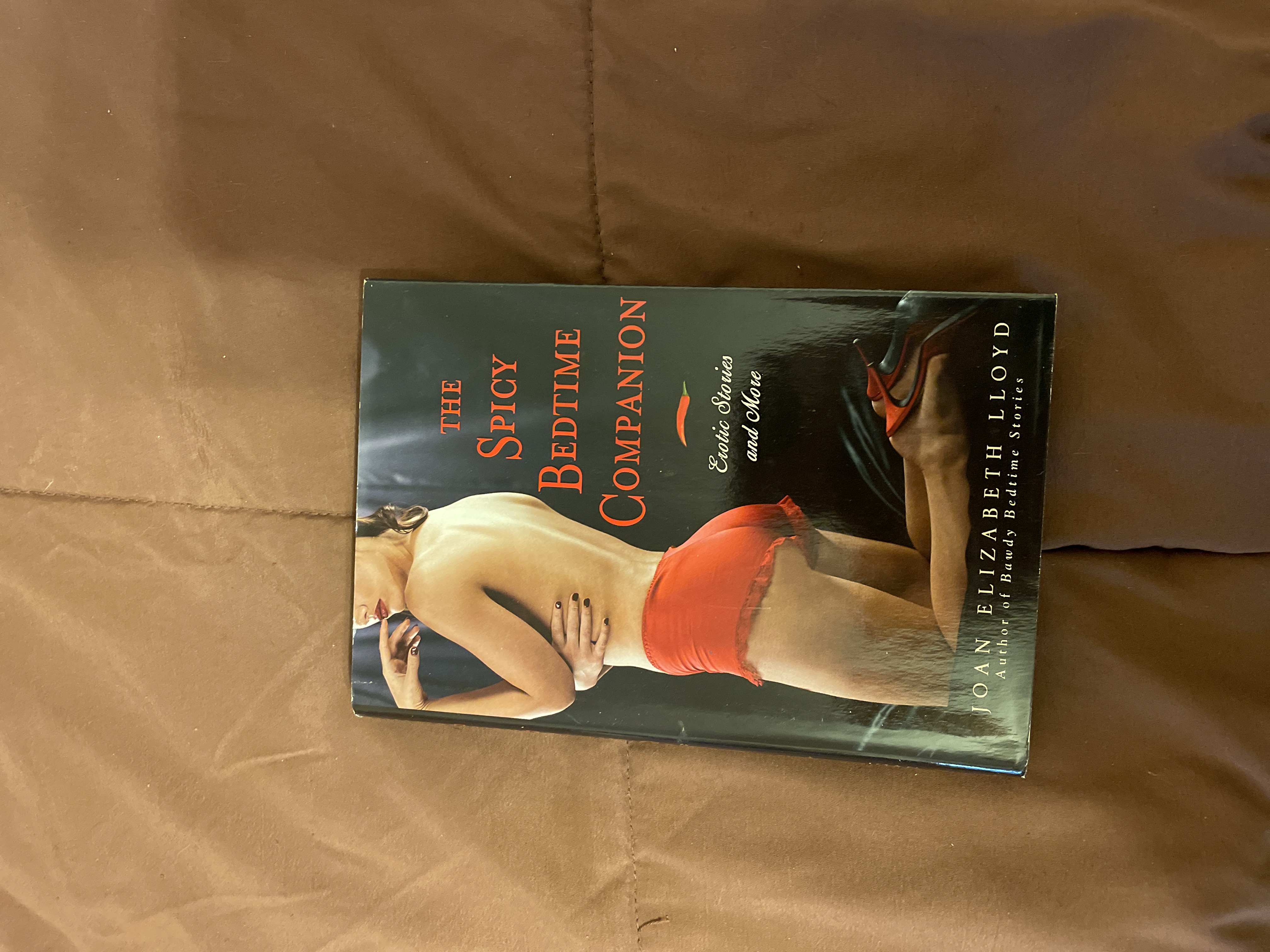 The Spicy Bedtime Companion