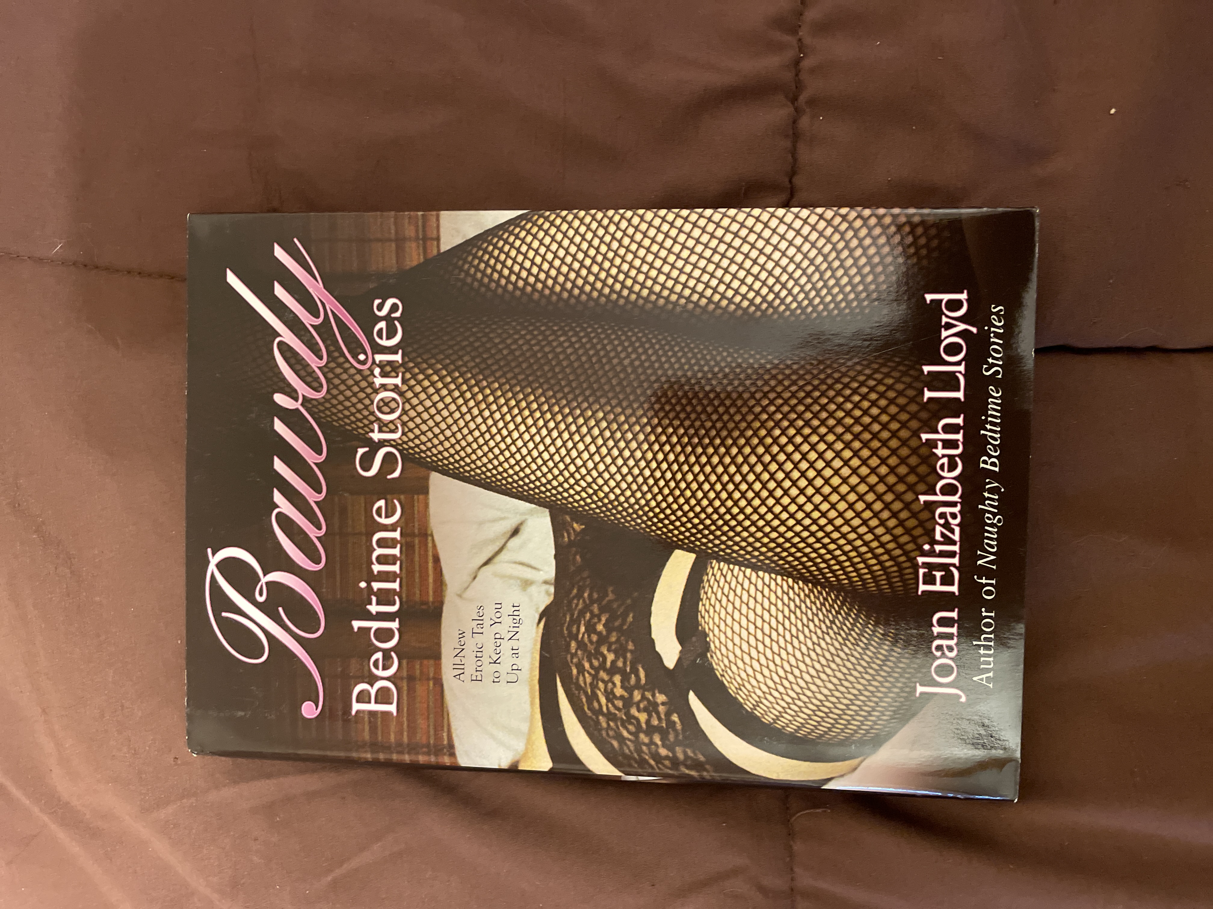 Bawdy Bedtime Stories