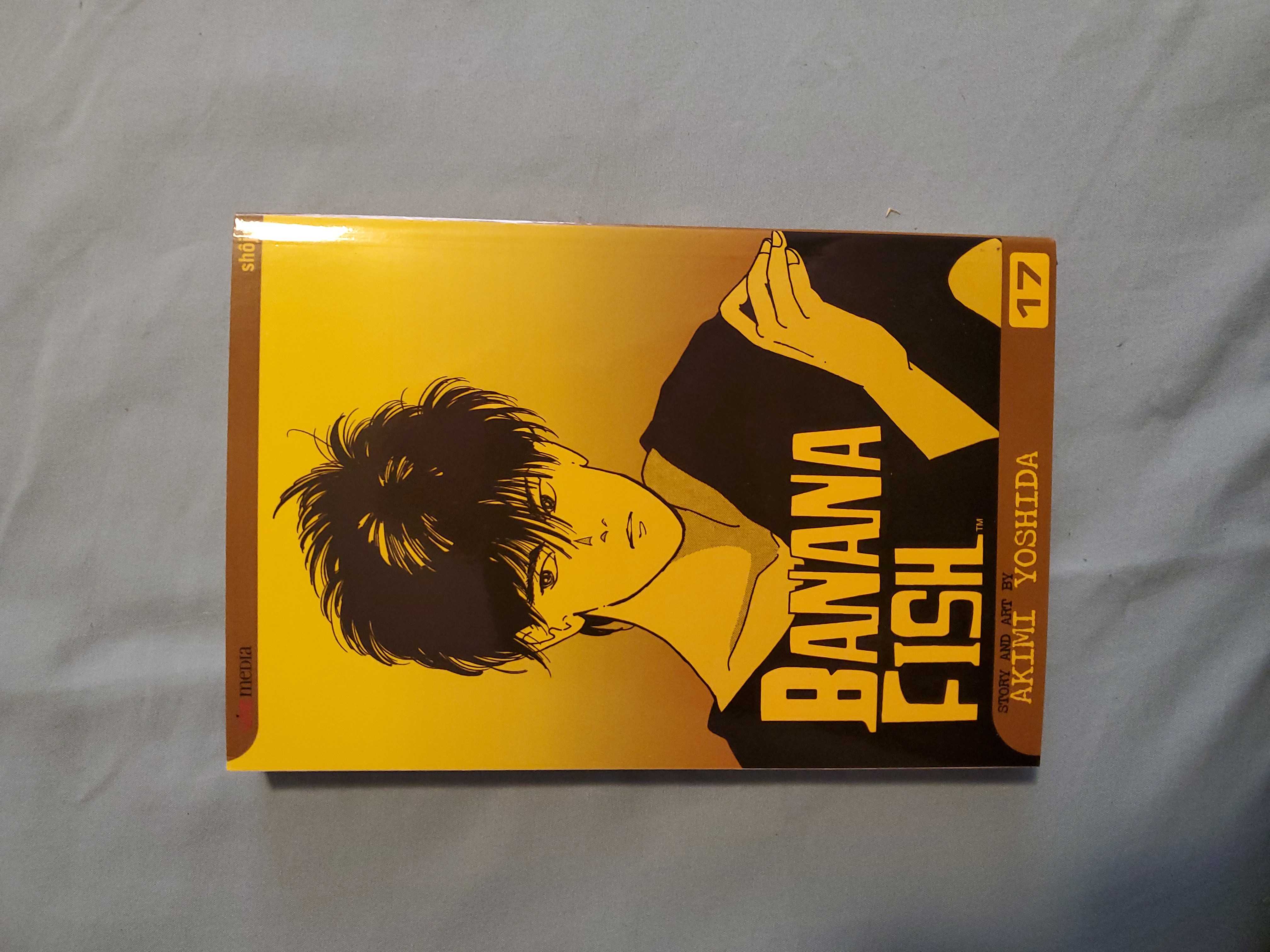 Banana Fish, Vol. 17