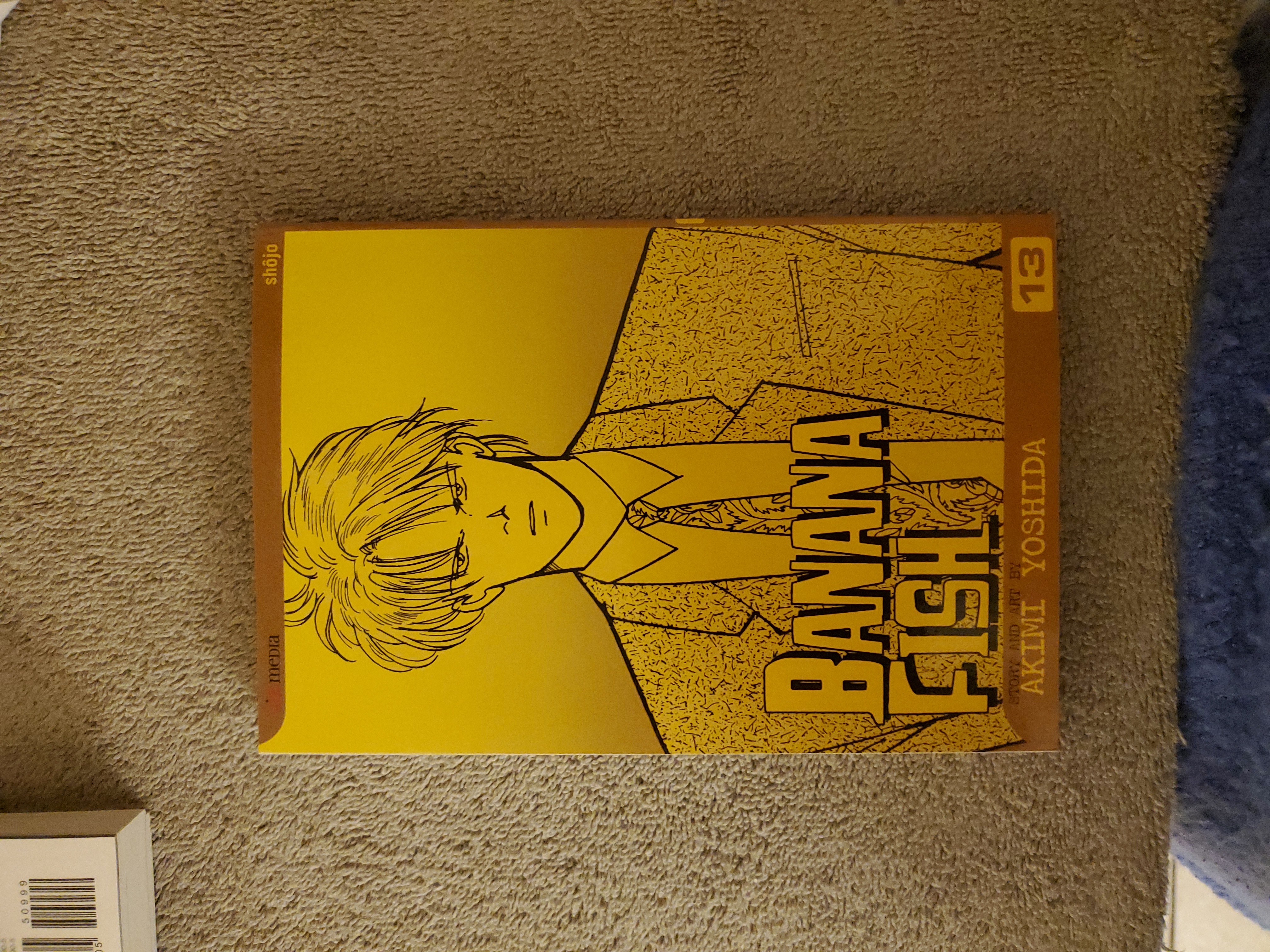 Banana Fish, Vol. 13