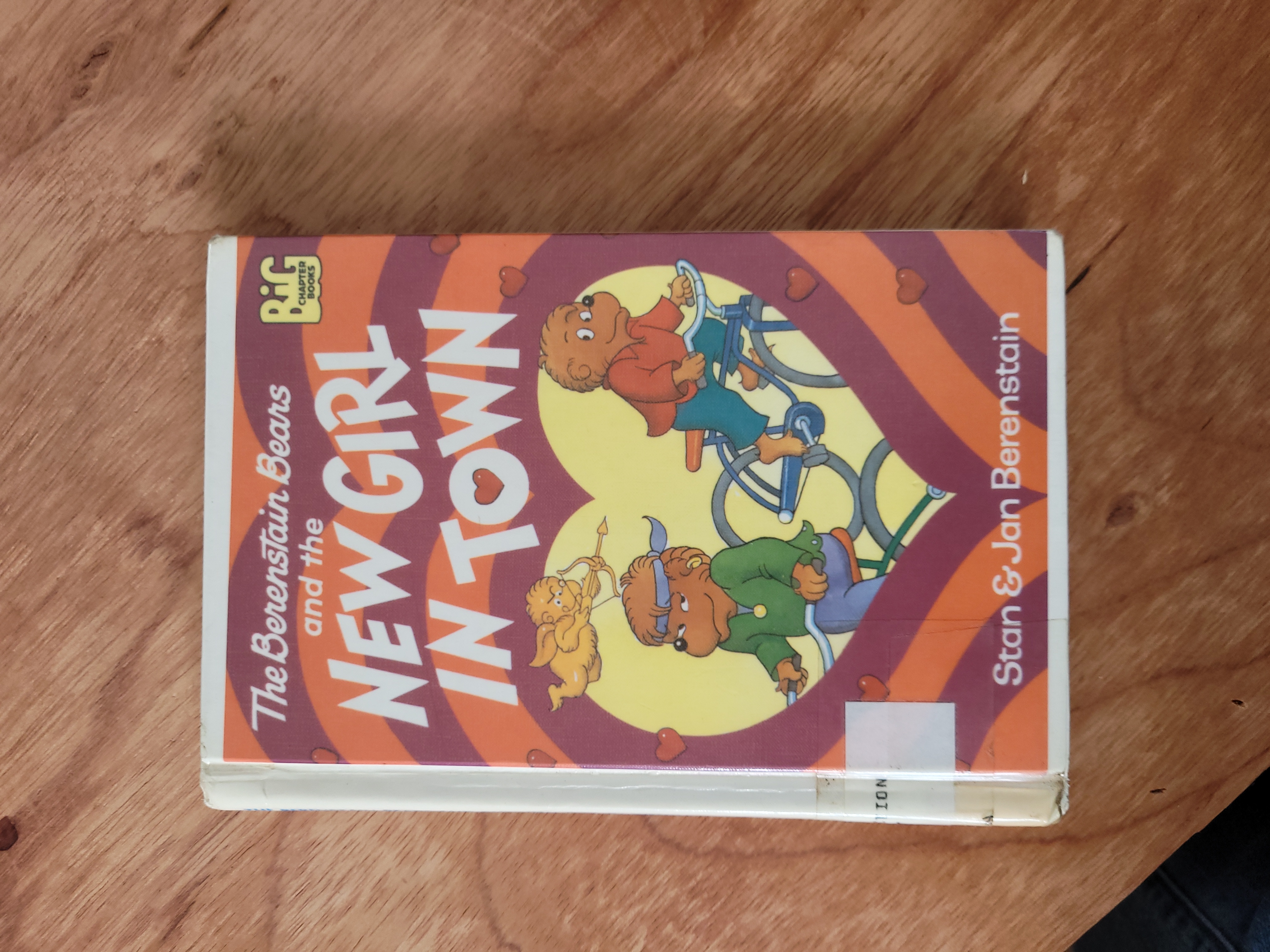 The Berenstain Bears and the New Girl in Town