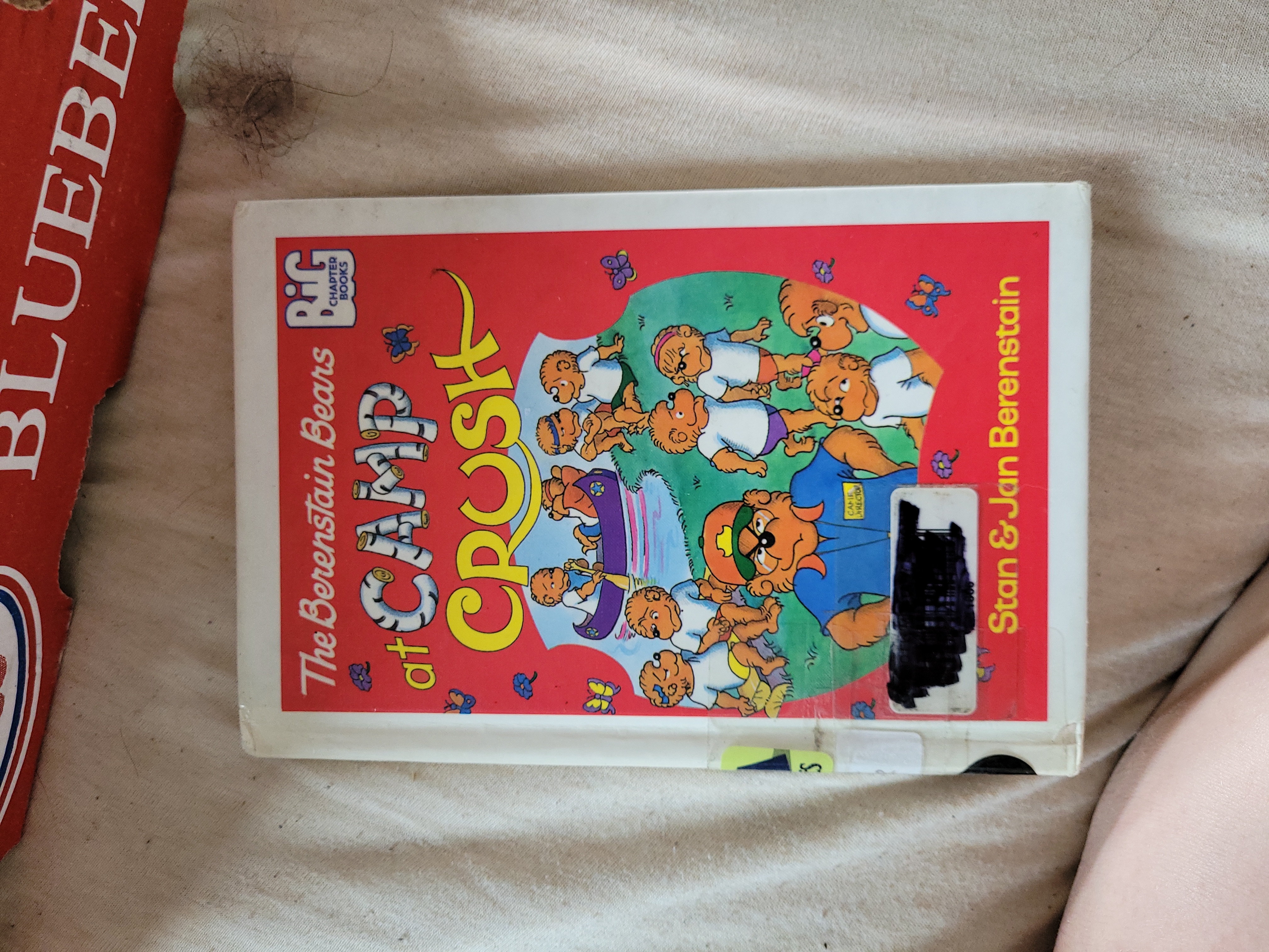 The Berenstain Bears at Camp Crush