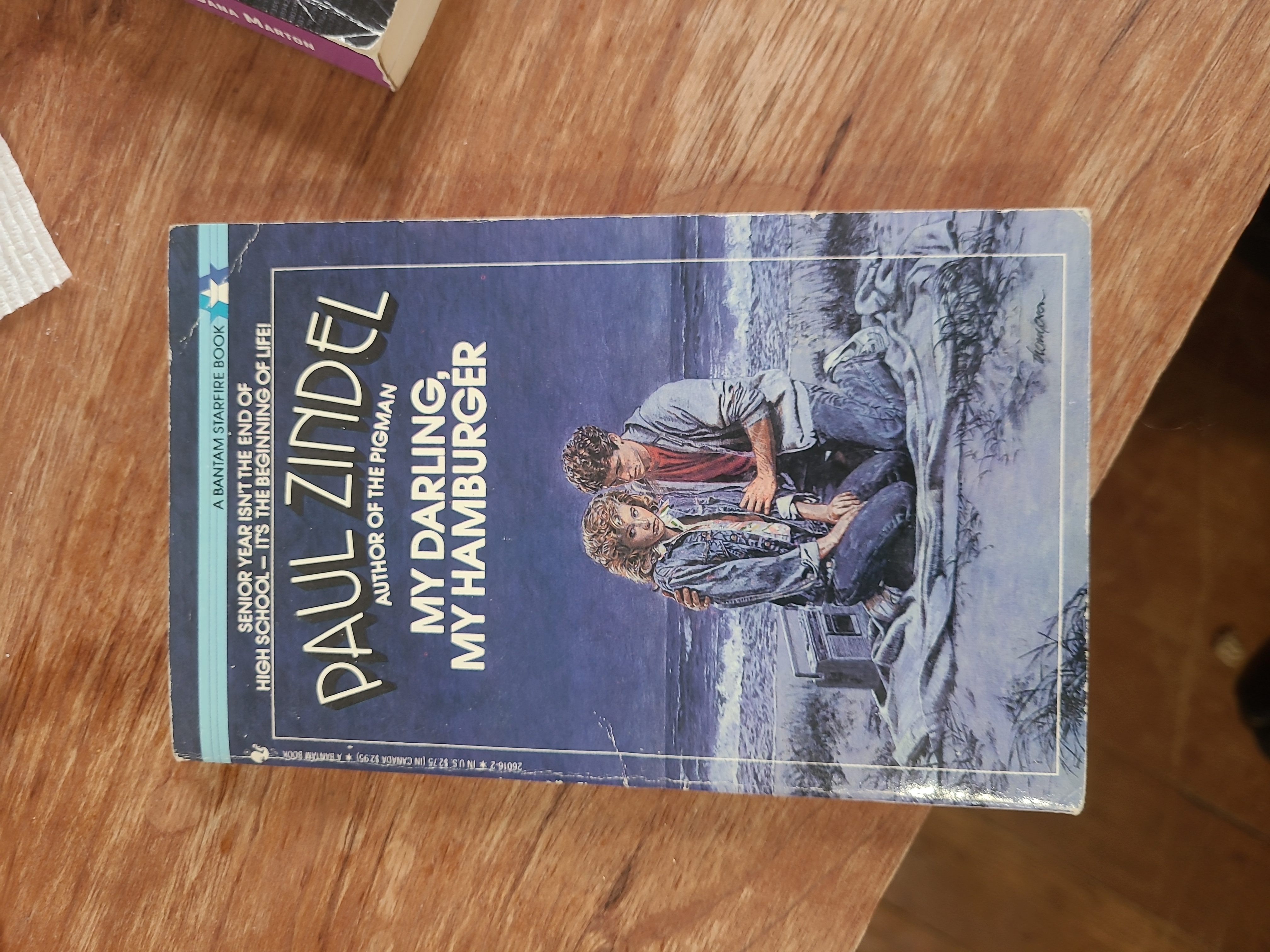 My Darling, My Hamburger