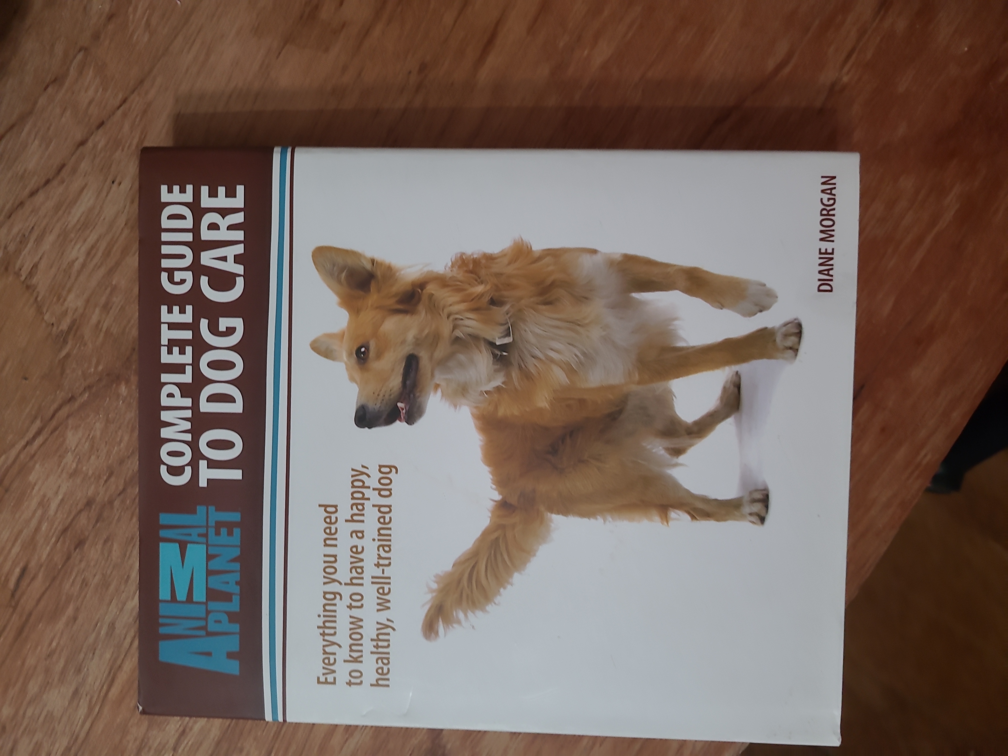 Complete Guide to Dog Care