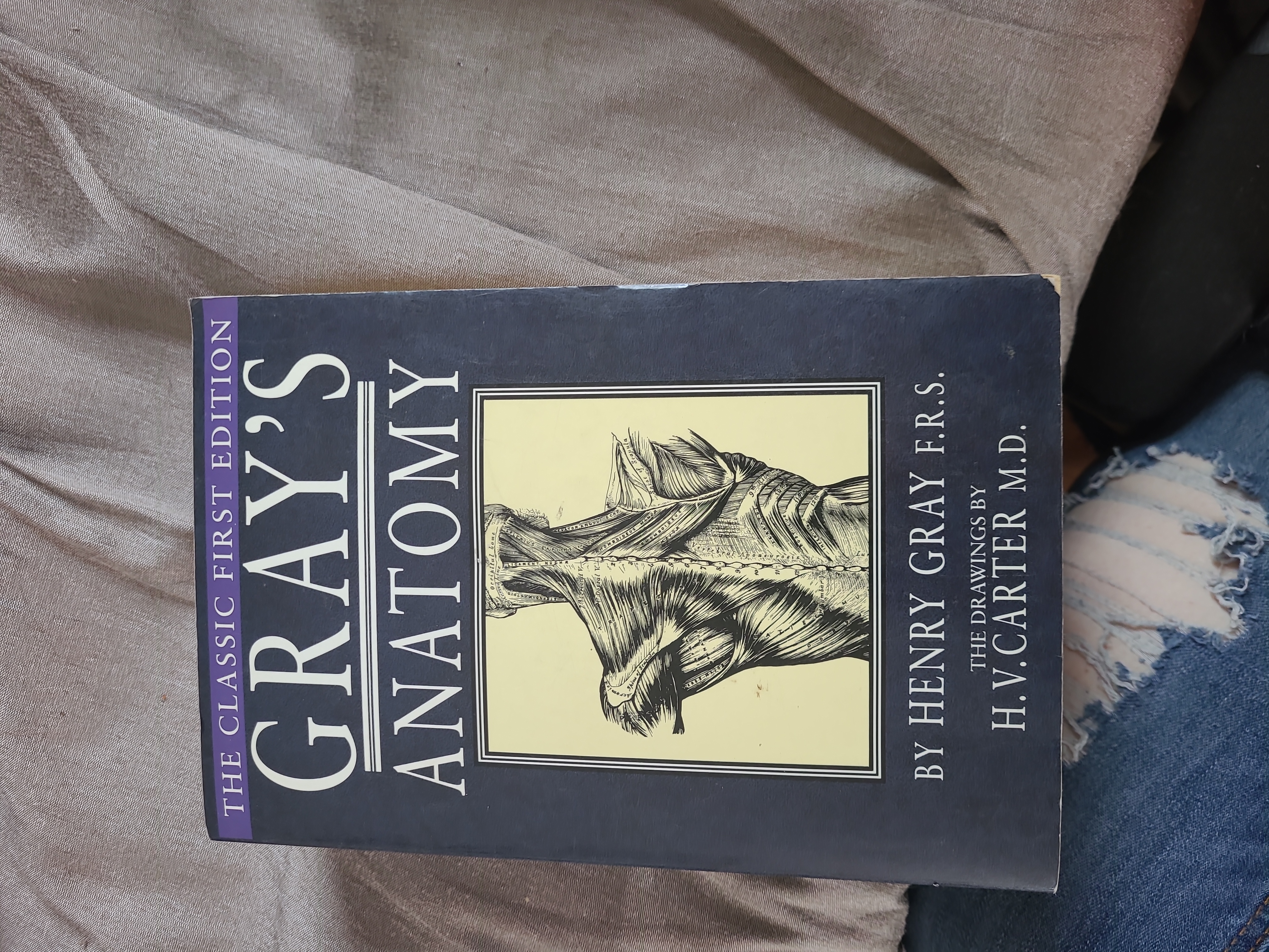 Gray's Anatomy