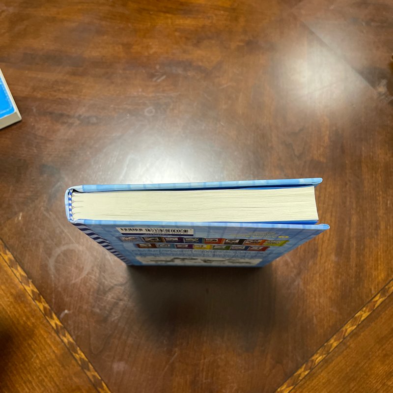 The Deep End (Diary of a Wimpy Kid Book 15)