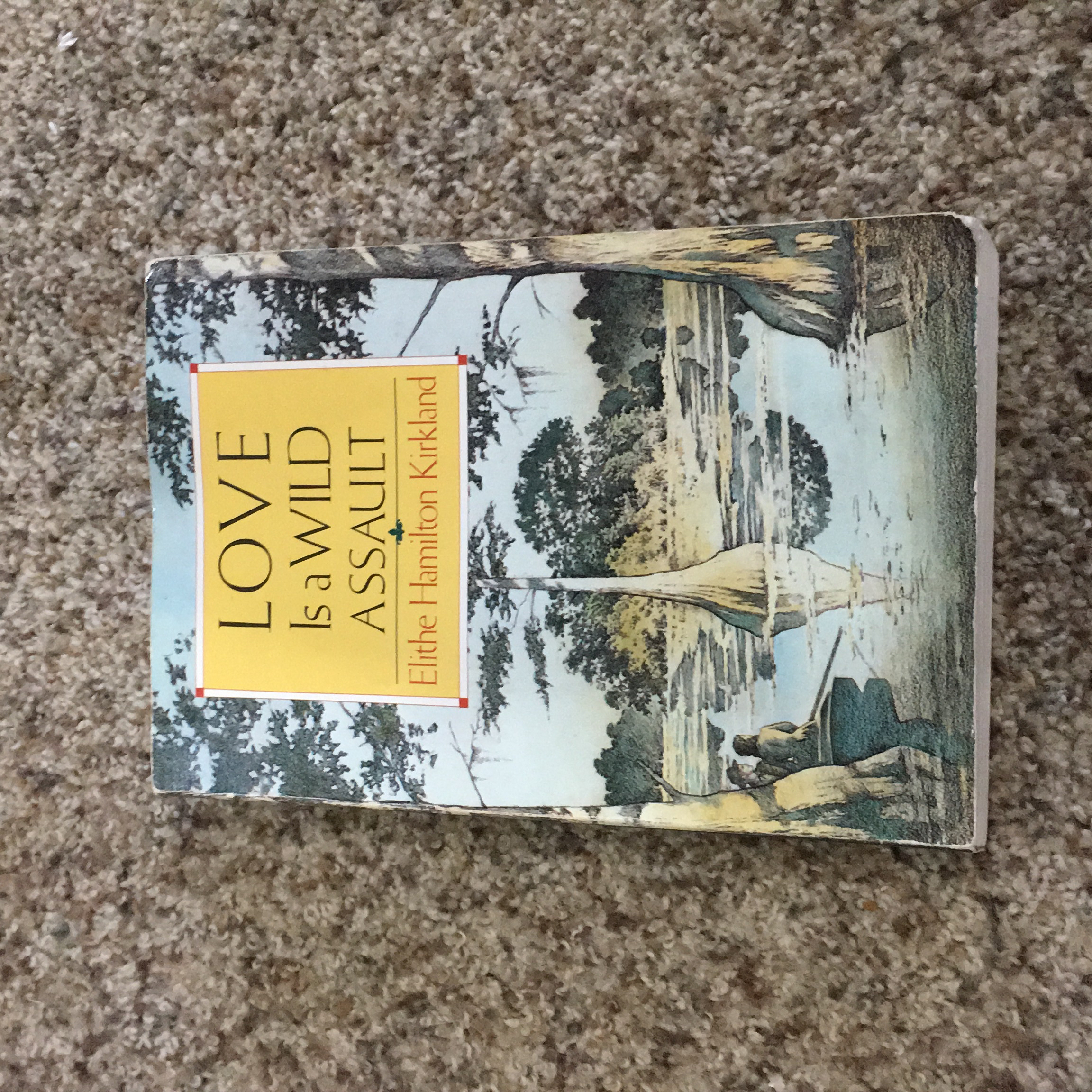 Love is a Wild Assault by Elithe H. Kirkland