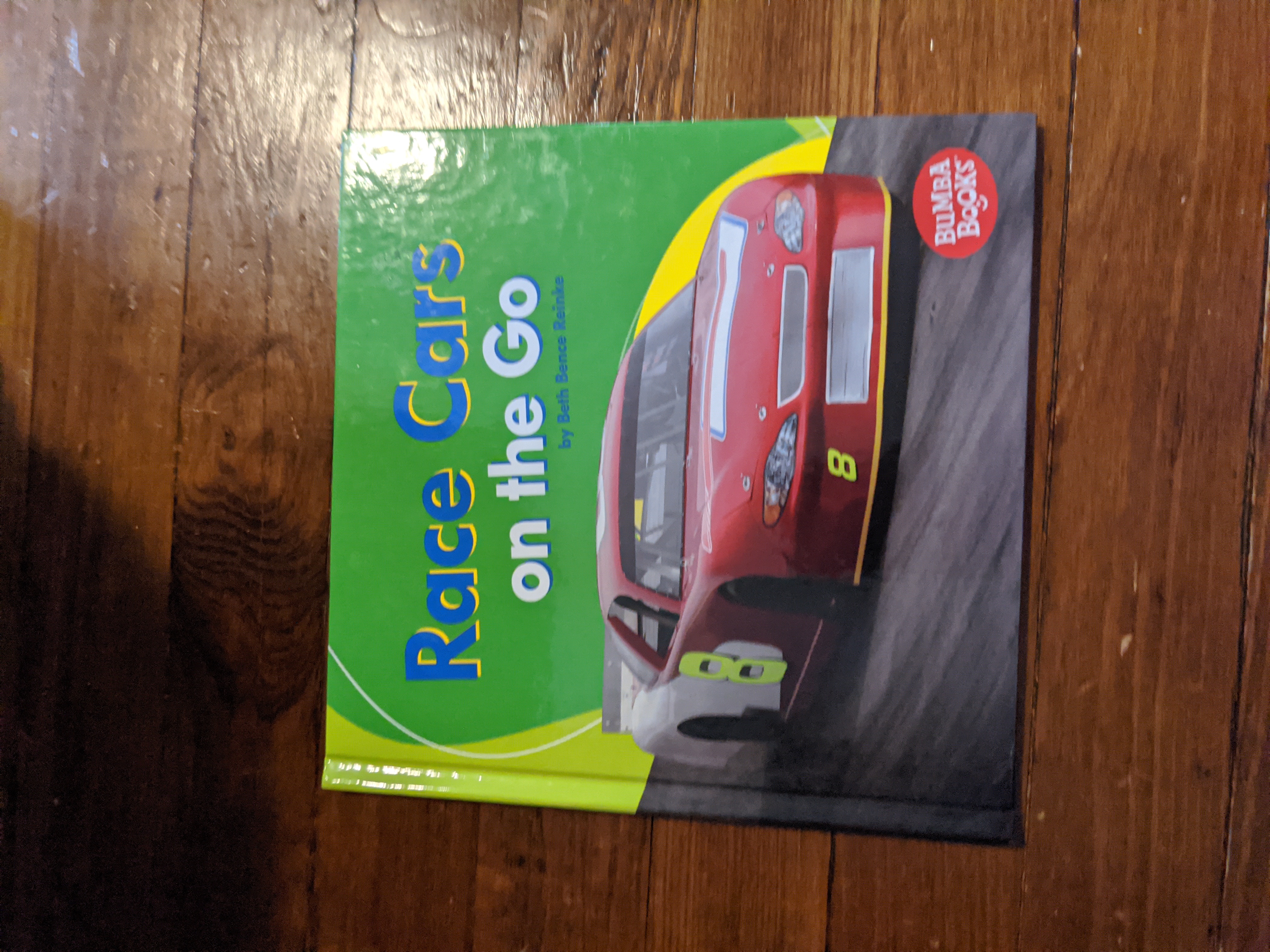 Race Cars on the Go by Beth Bence Reinke