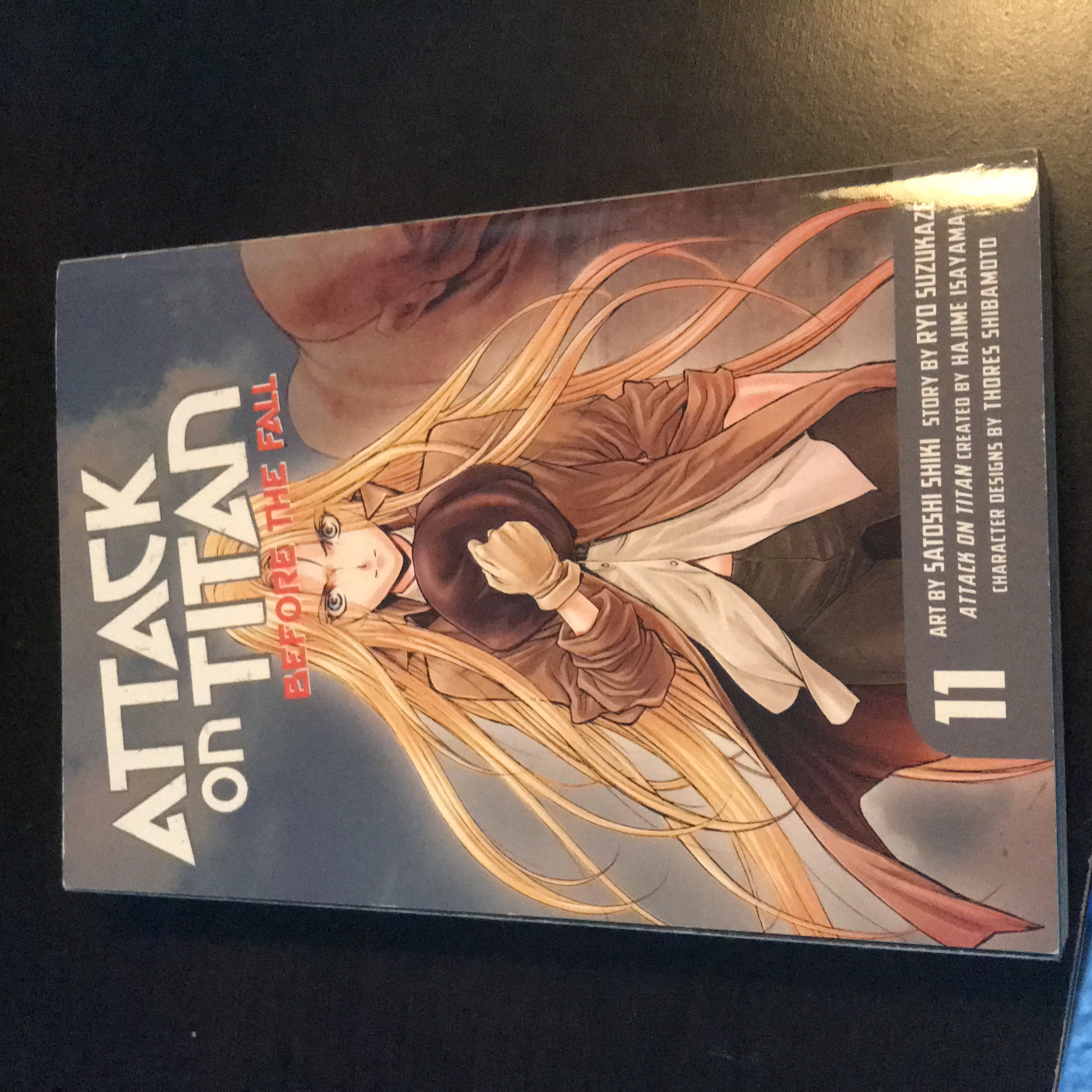 Attack on Titan: Before the Fall 11