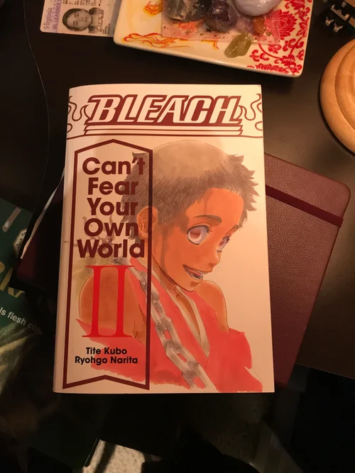 Bleach: Can't Fear Your Own World, Vol. 2