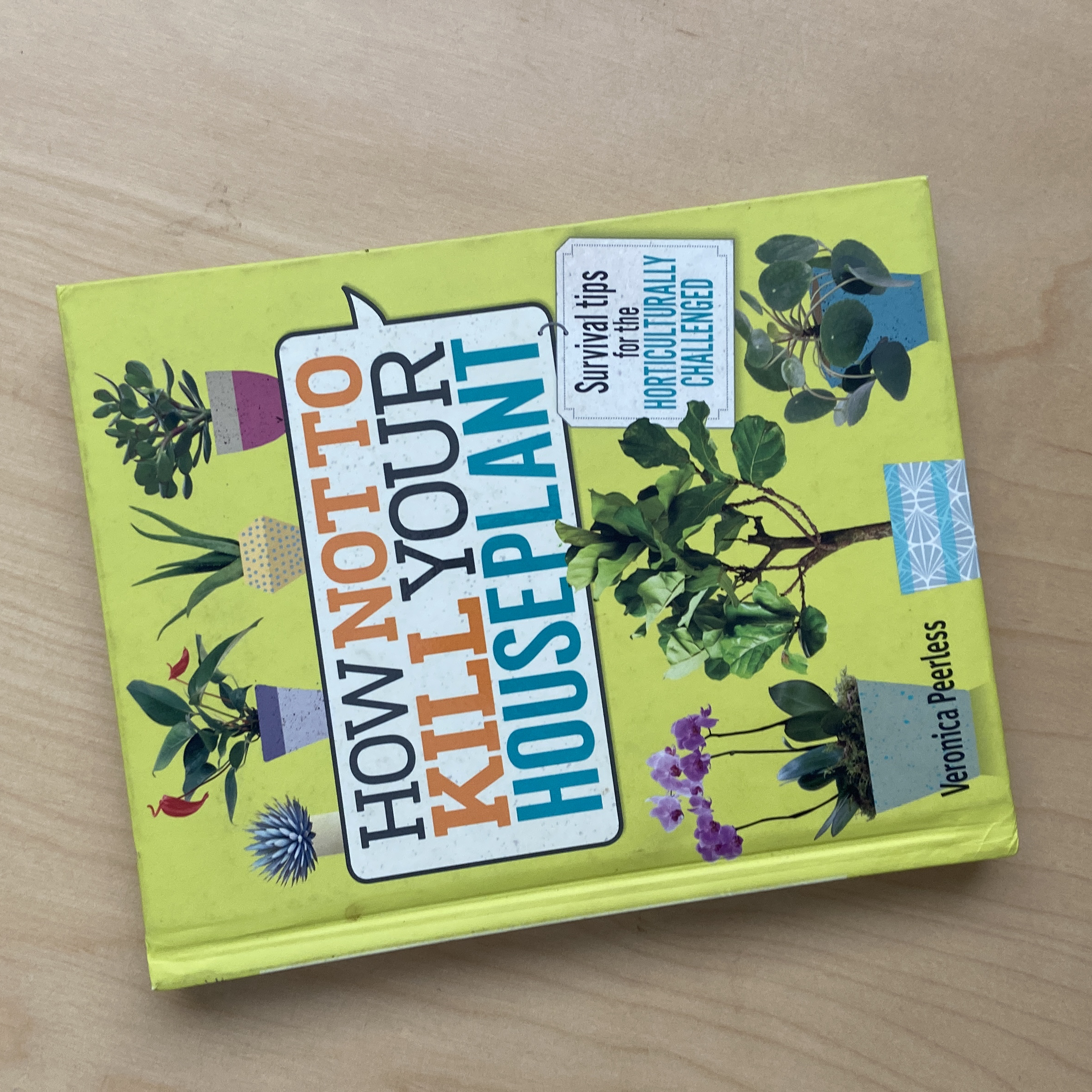How Not to Kill Your Houseplant