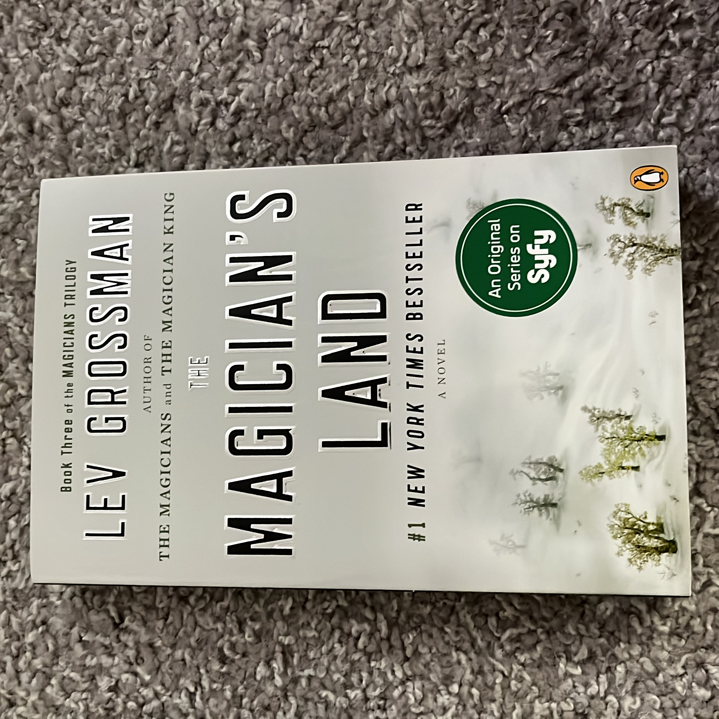 The Magician's Land