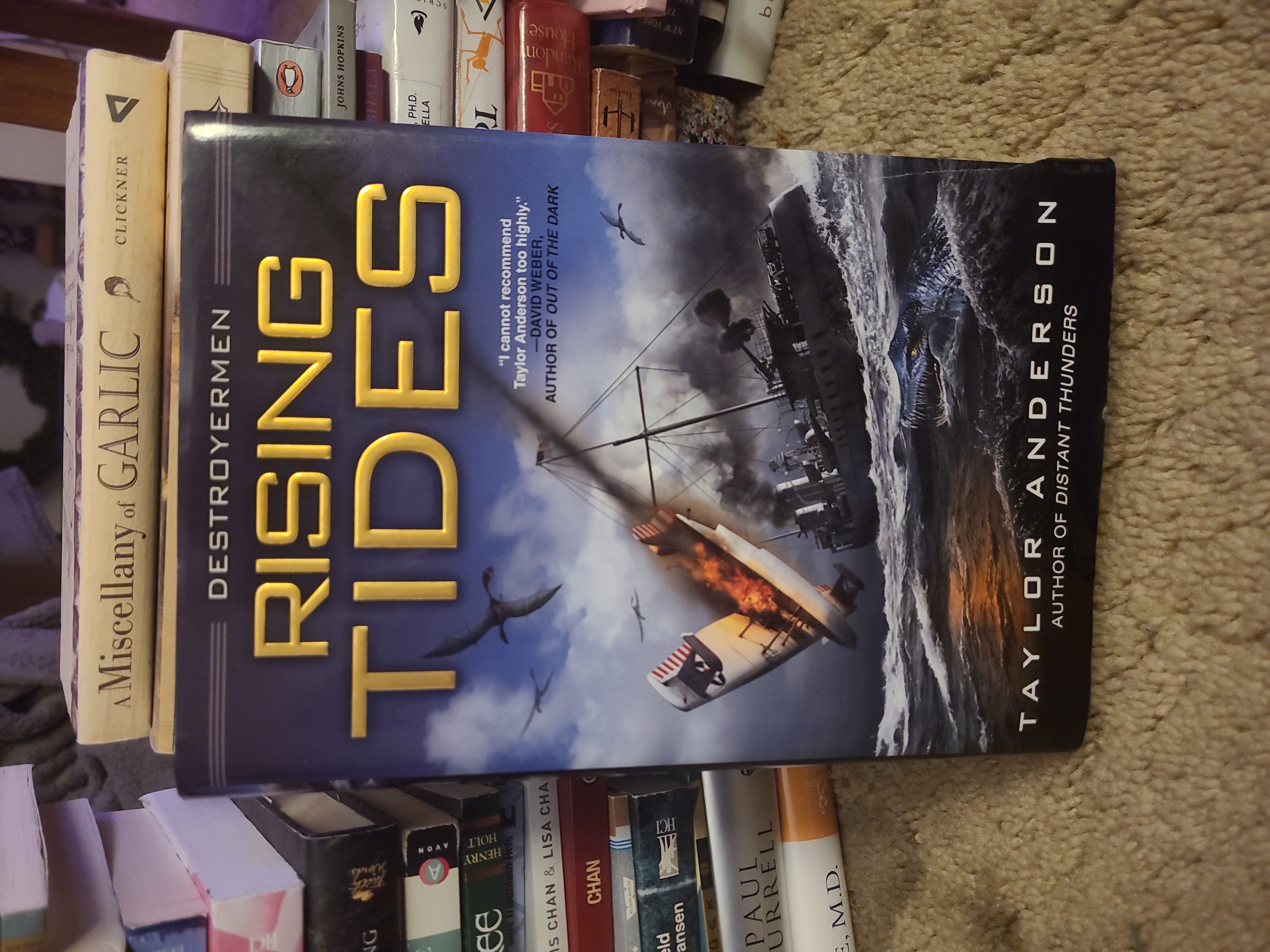 Rising Tides