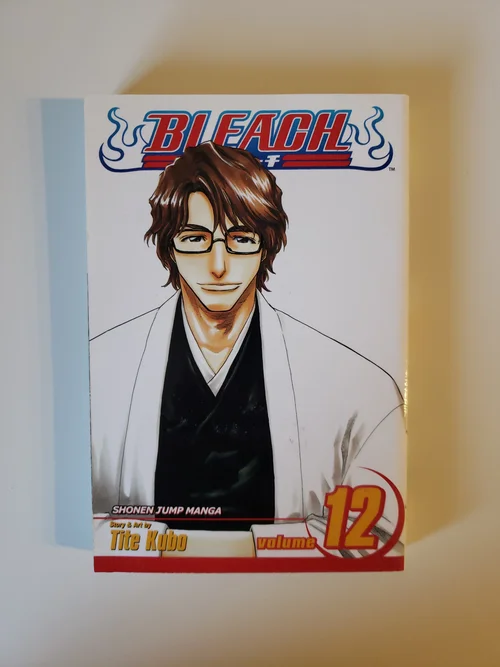 Bleach, Vol. 12